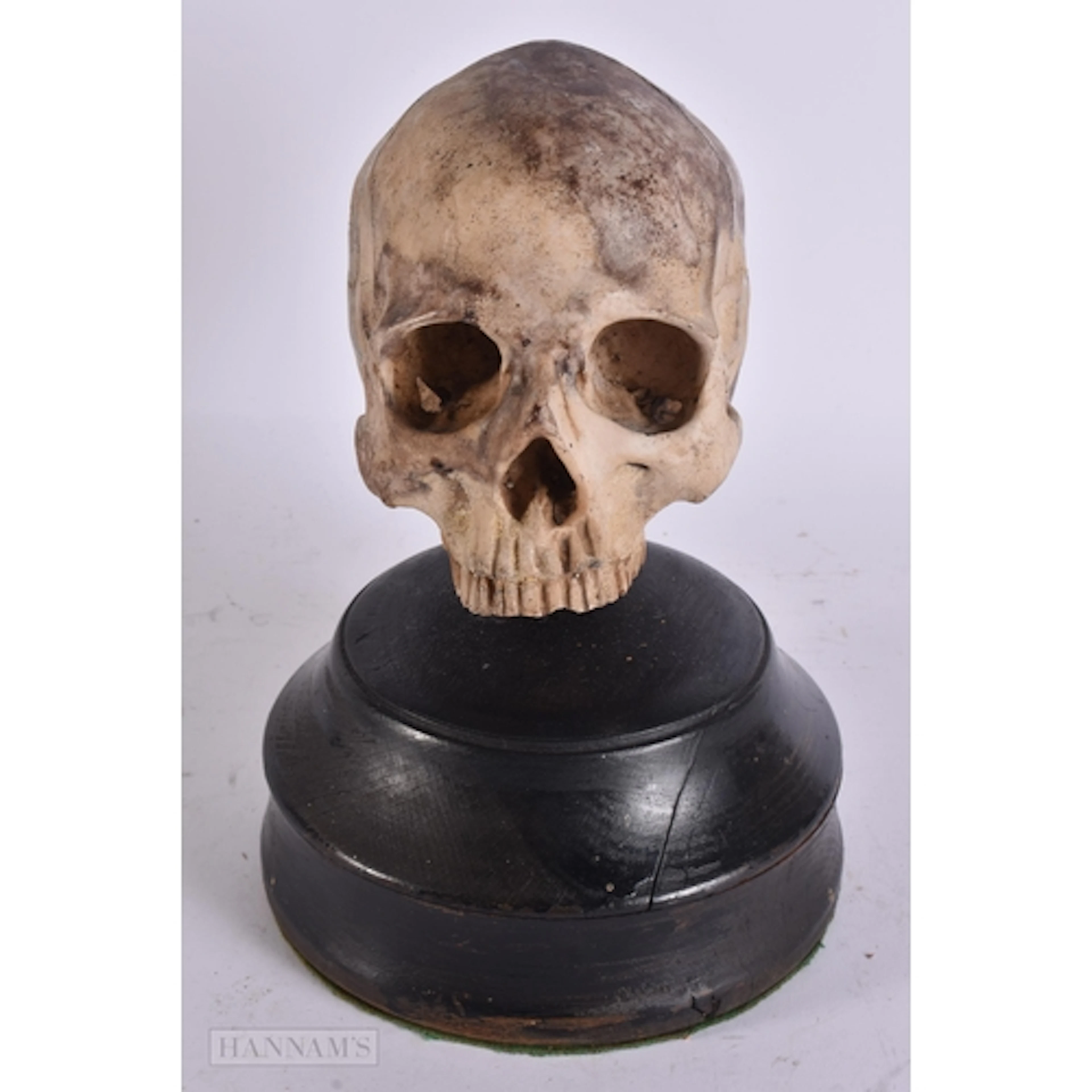 A FAUX HUMAN SKULL PROP. 25.5 cm high.