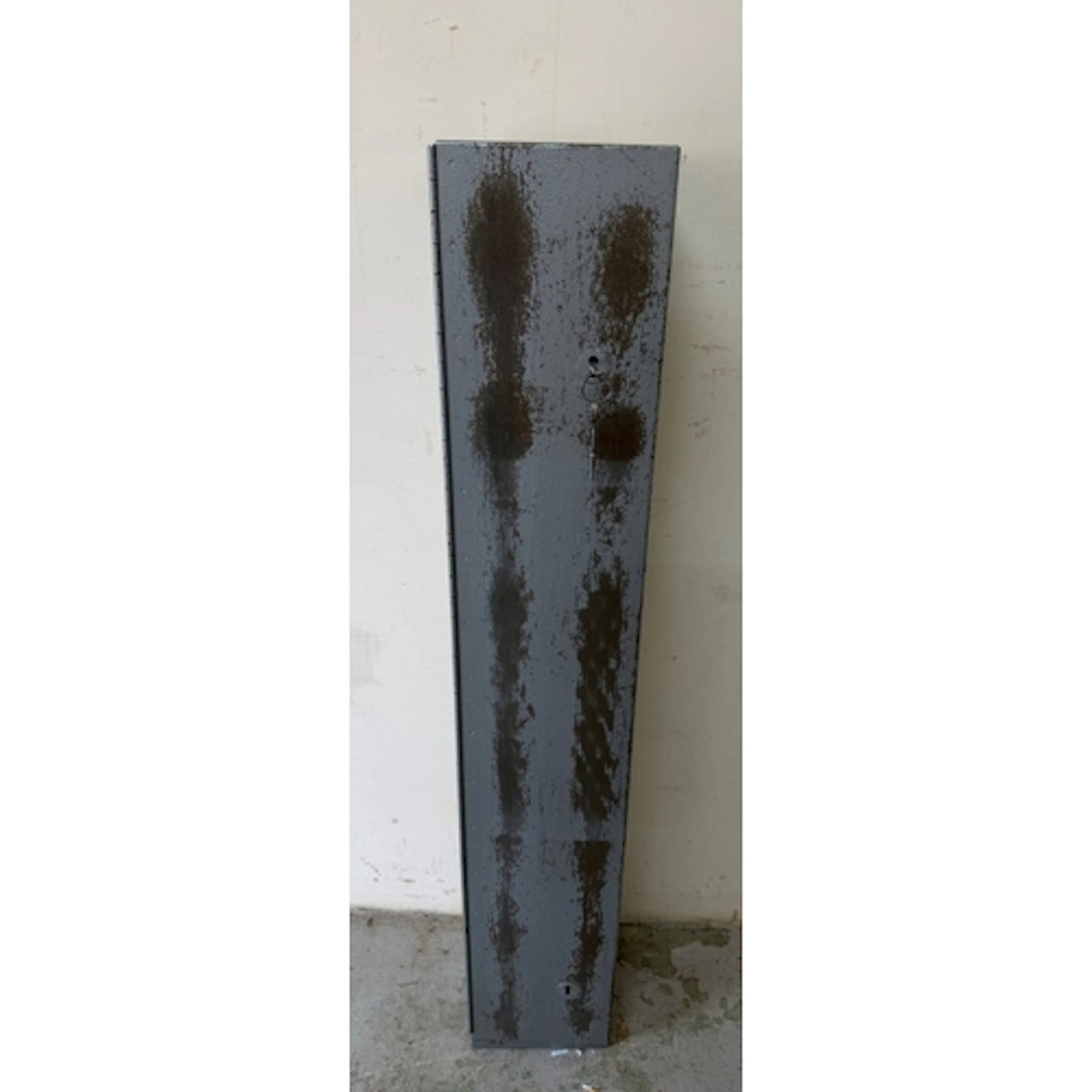 Gun safe opening for space for three guns H122cm W20cm D20cm...