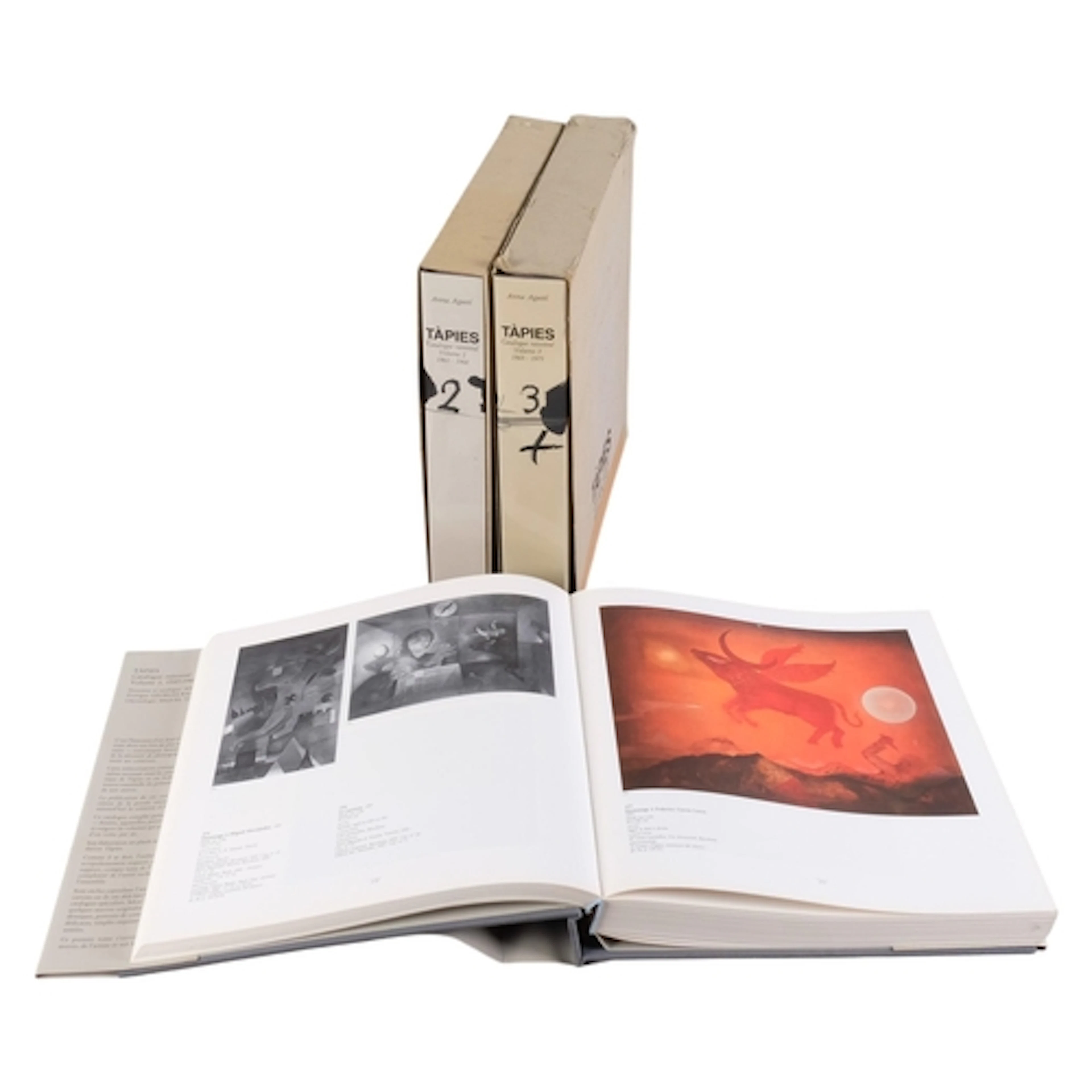 Antoni Tapies, Catalogue Raisonne Volumes 1 to 3