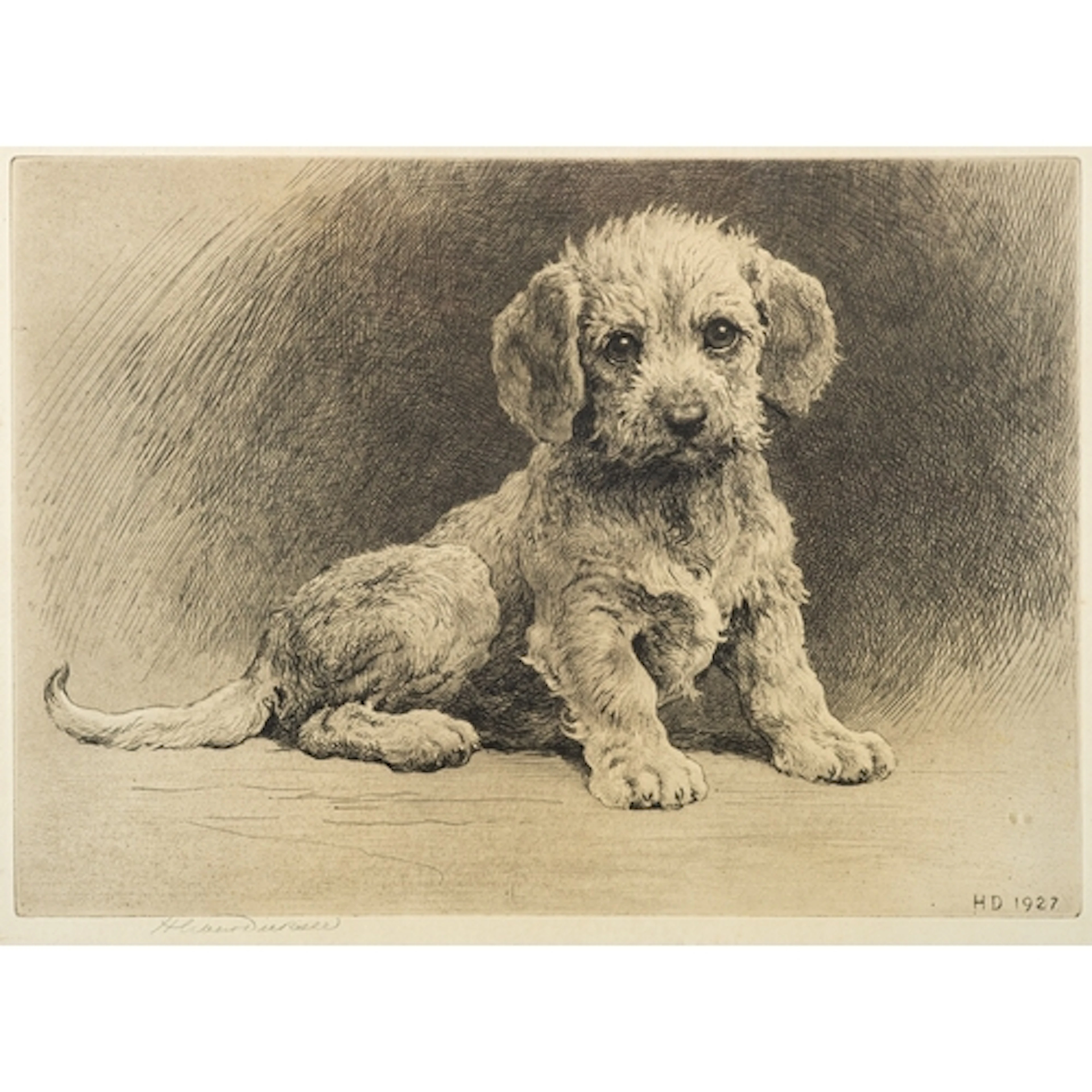 Herbert Dicksee (British, 1862-1942) - 'Dandie Pup' - Etch...