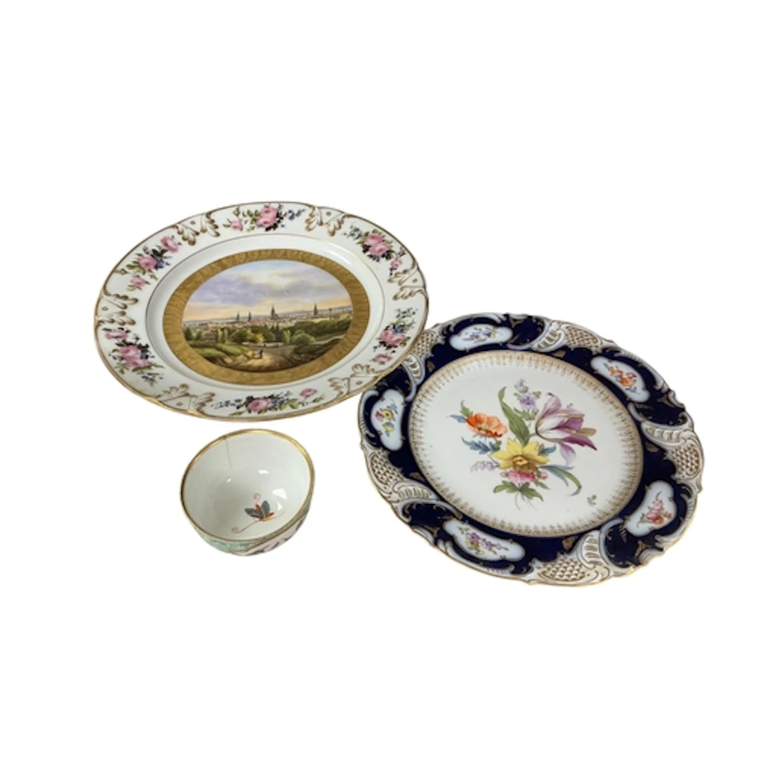 A 19th century continental porcelain topographical plate wit...
