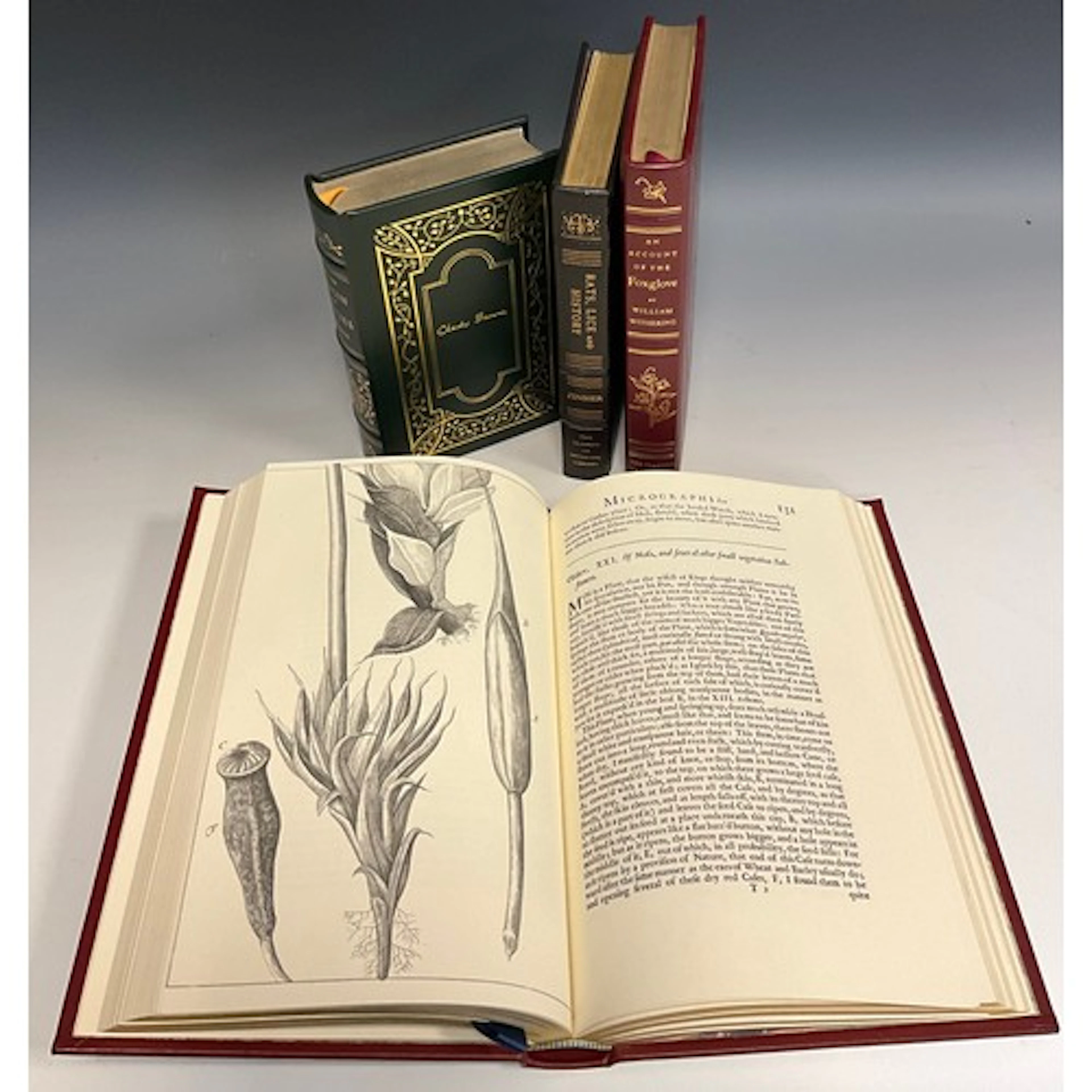 Collectors Books - Charles Darwin, On the Origin of Species ...