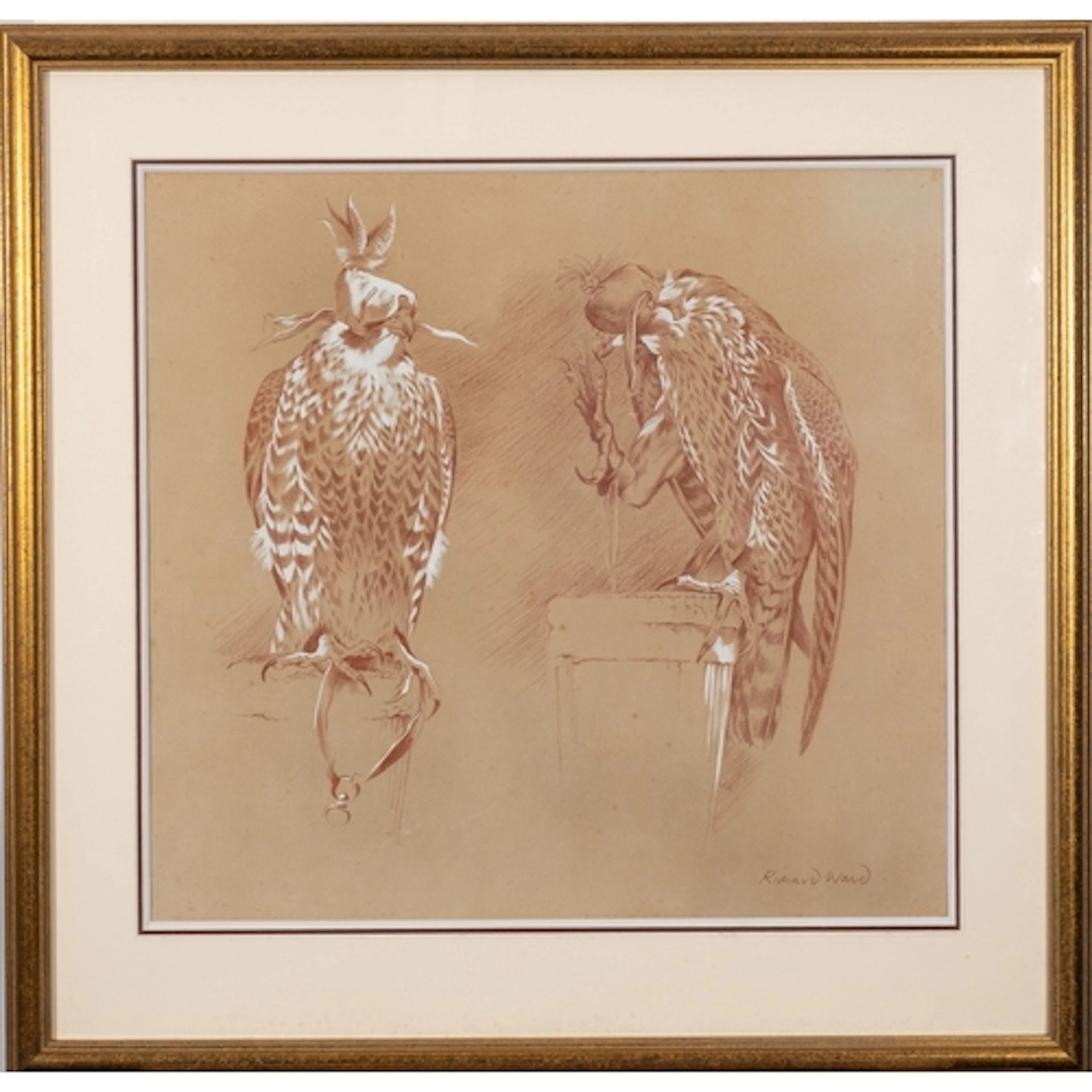 * Richard Ward (Irish, b1944) - 'Peregrine Falcons', a stud...