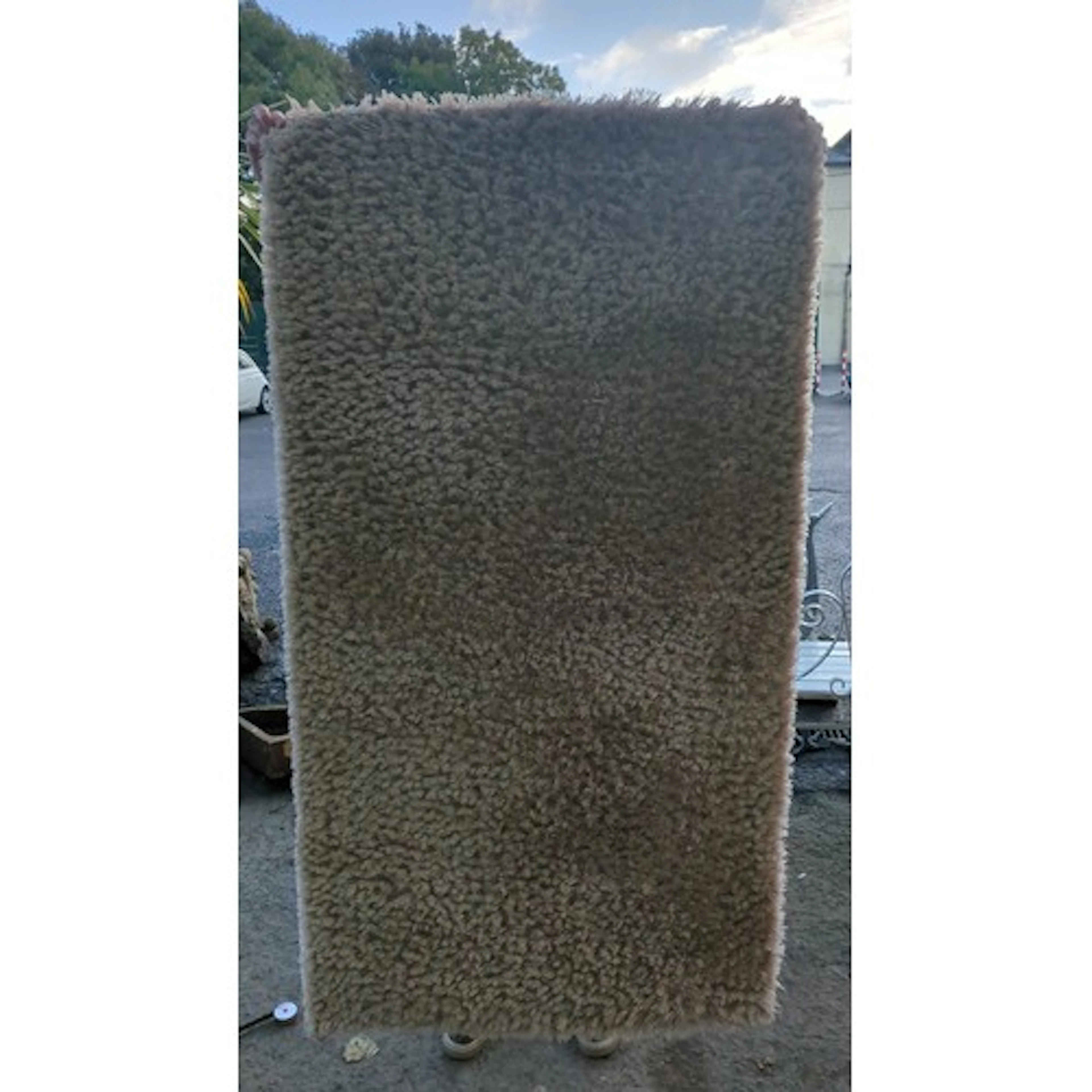 Contemporary shag-pile area rug of rectangular form, the dee...
