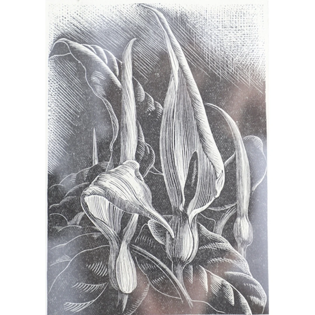 CLARE LEIGHTON (1898-1989). The Horse Show, 1936; Wild Arums...