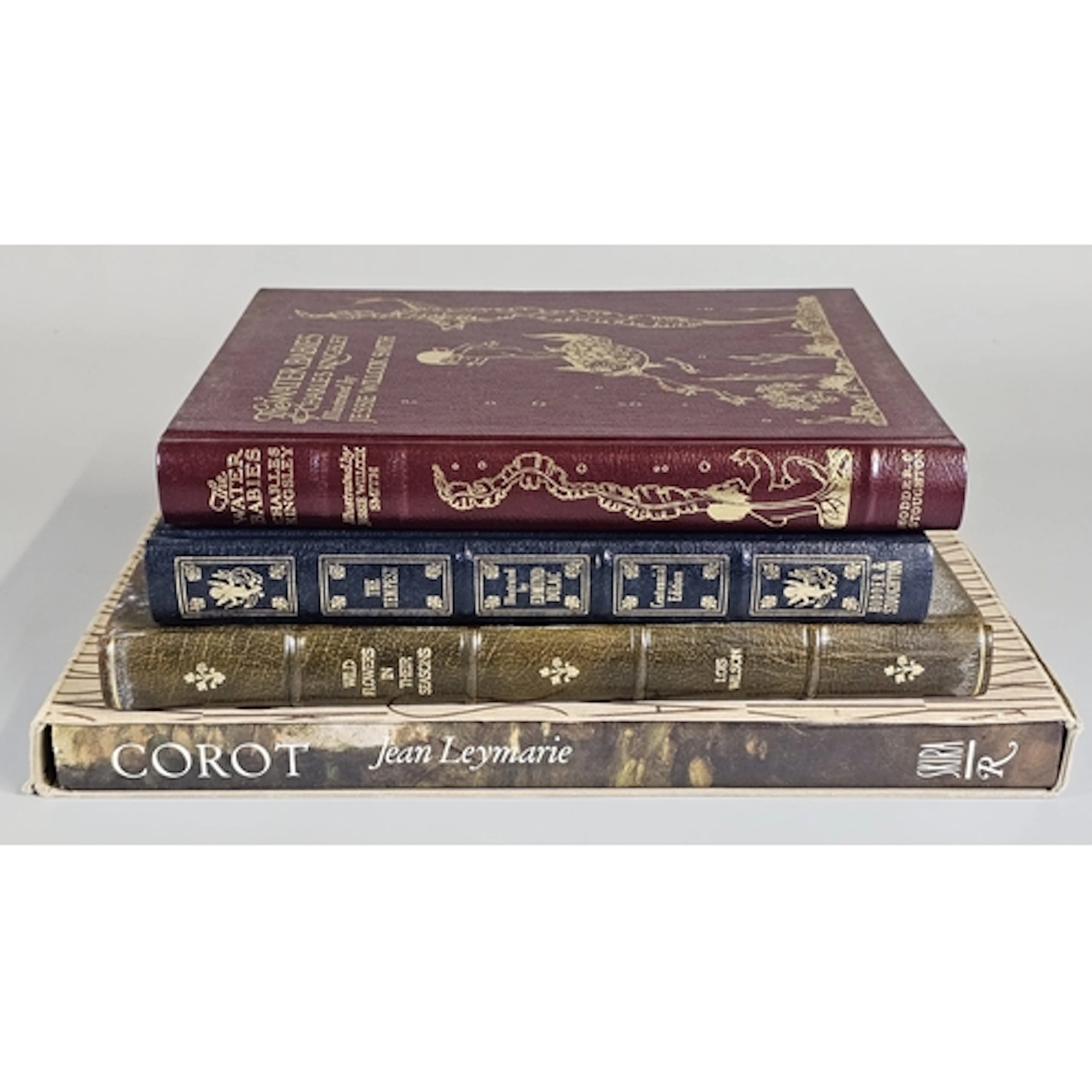 Collection of books to include: Charles Kingsley, 'The Water...