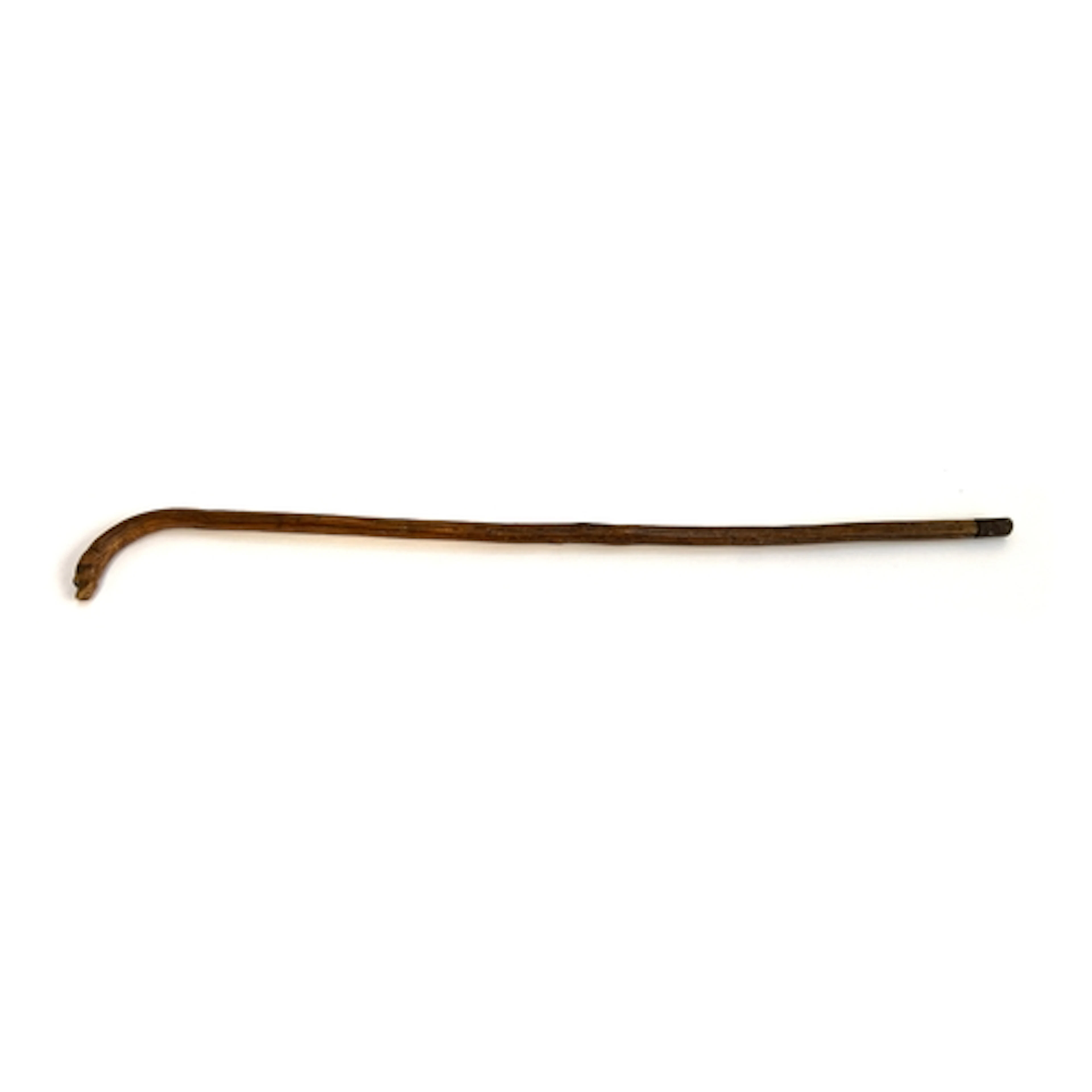 An antique walking cane carved with a hound head terminal se...