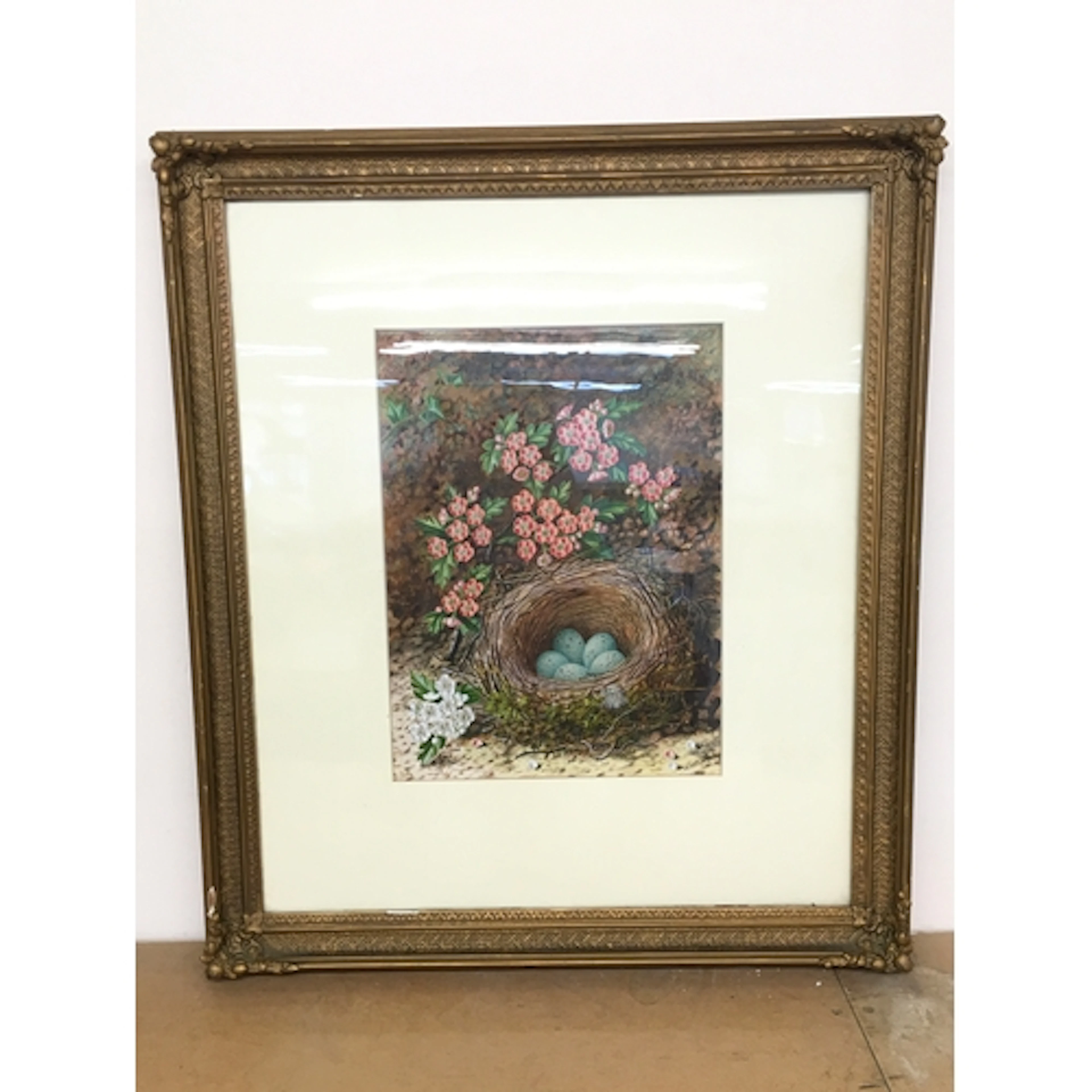 a framed watercolour painting of birds eggs in a nest by Joh...