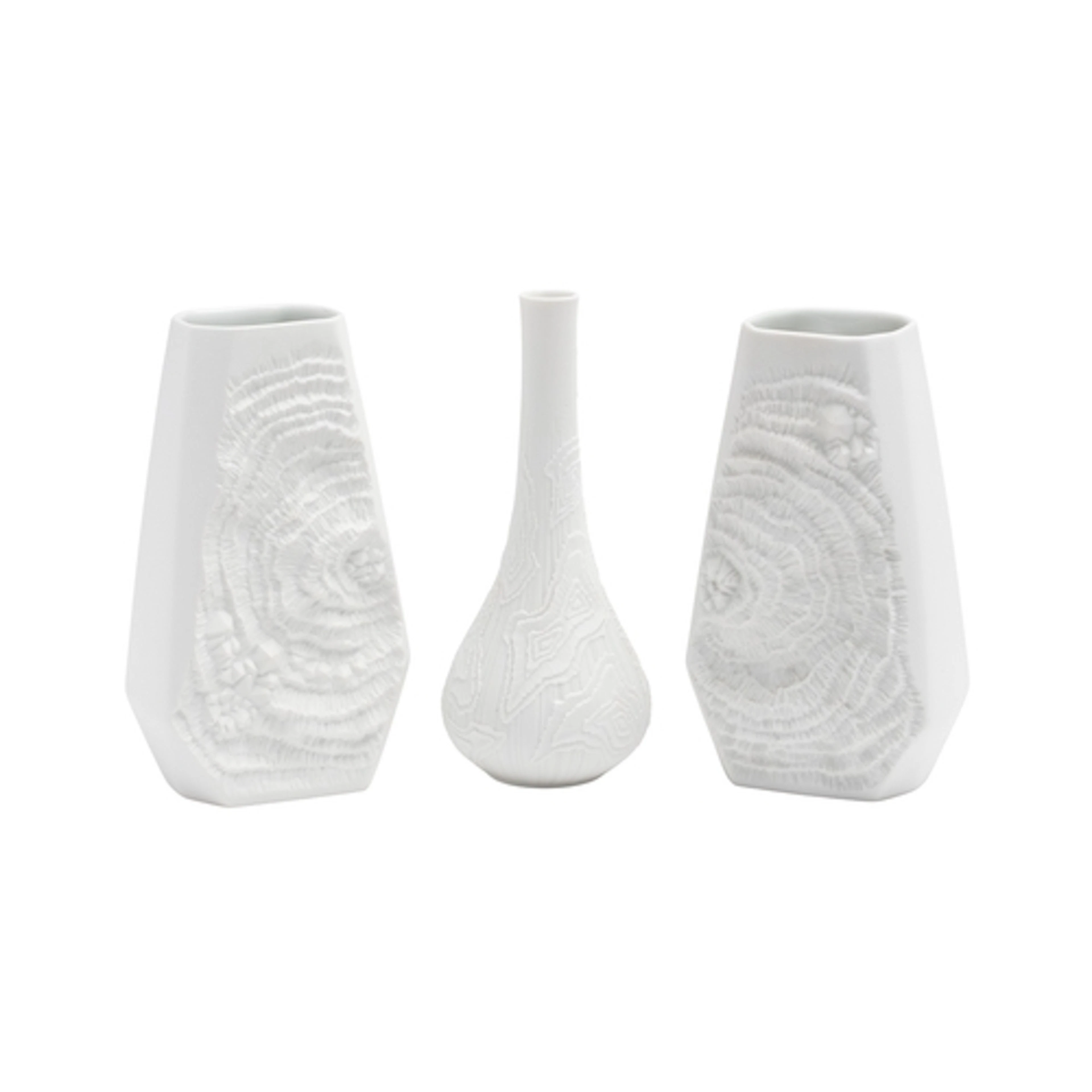 A.K. Kaiser a pair of matte porcelain ammonite fossil vases ...