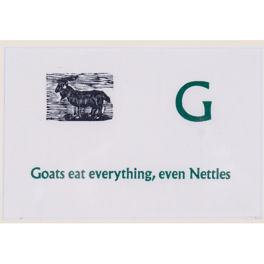 Enid Marx (1902-1998), wood engraving on paper, Goats eat ev...