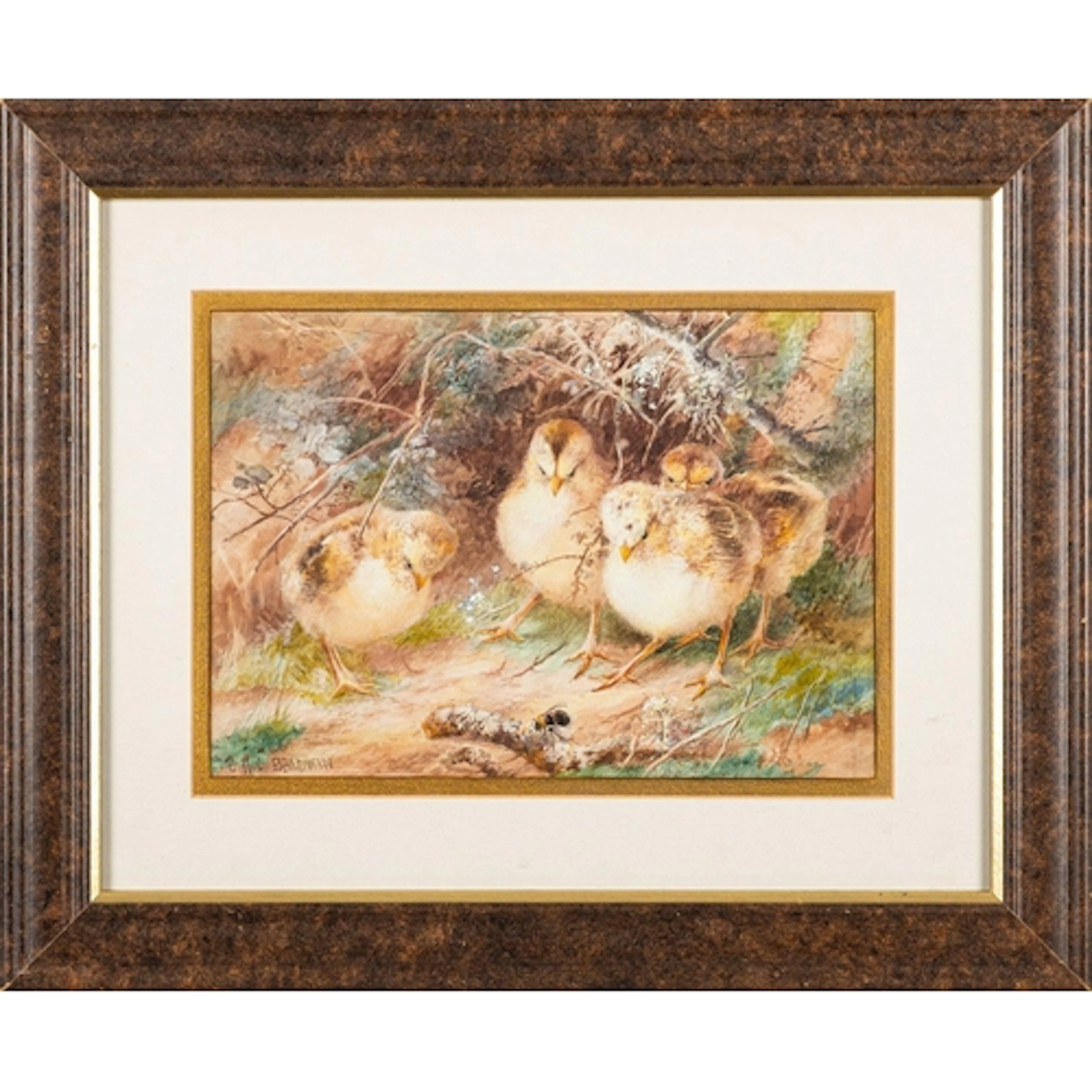 Charles H.C.Baldwyn [1859-1943] Chicks watching a bumble bee...