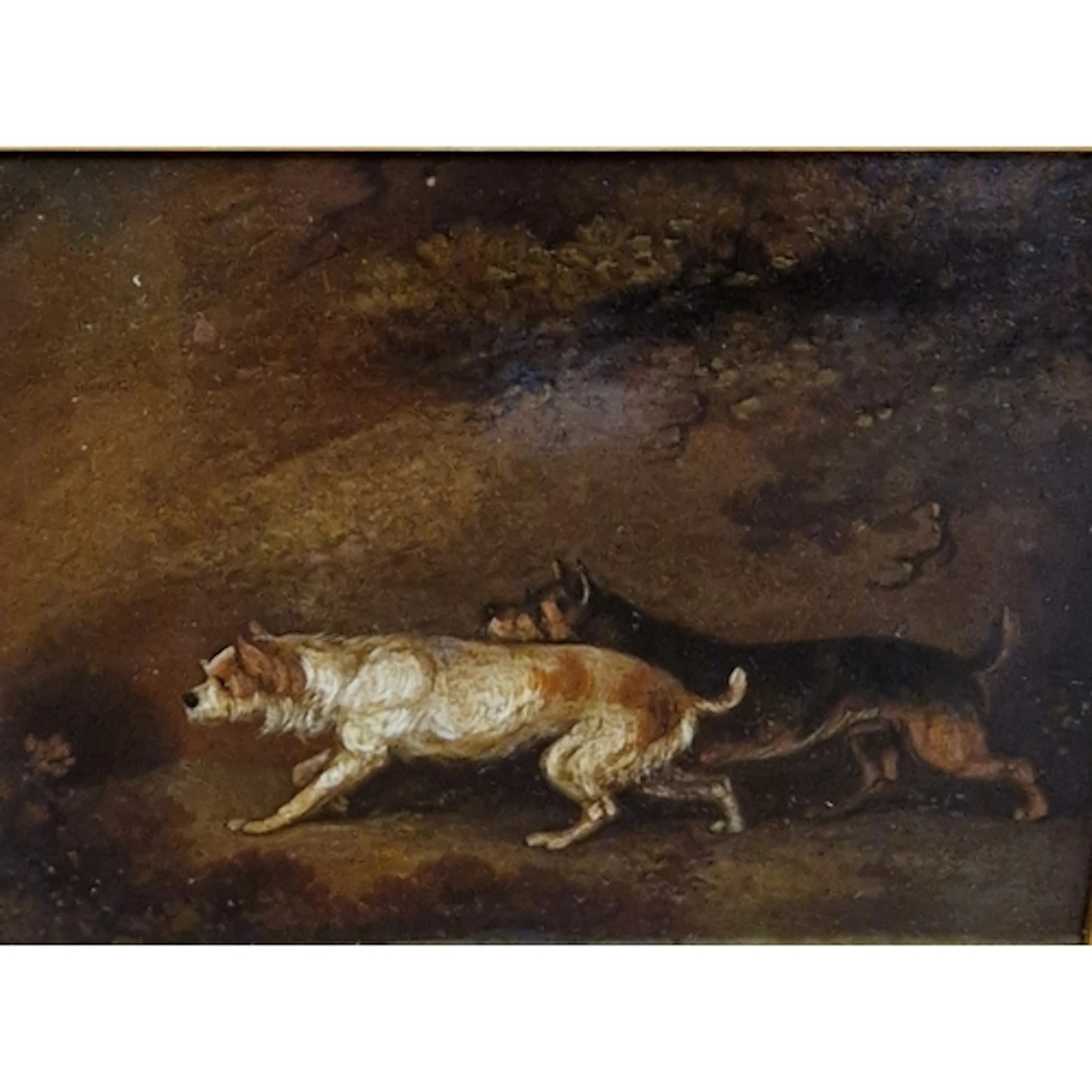 CIRCLE OF GEORGE ARMFIELD. Two Terriers hunting, oil on meta...