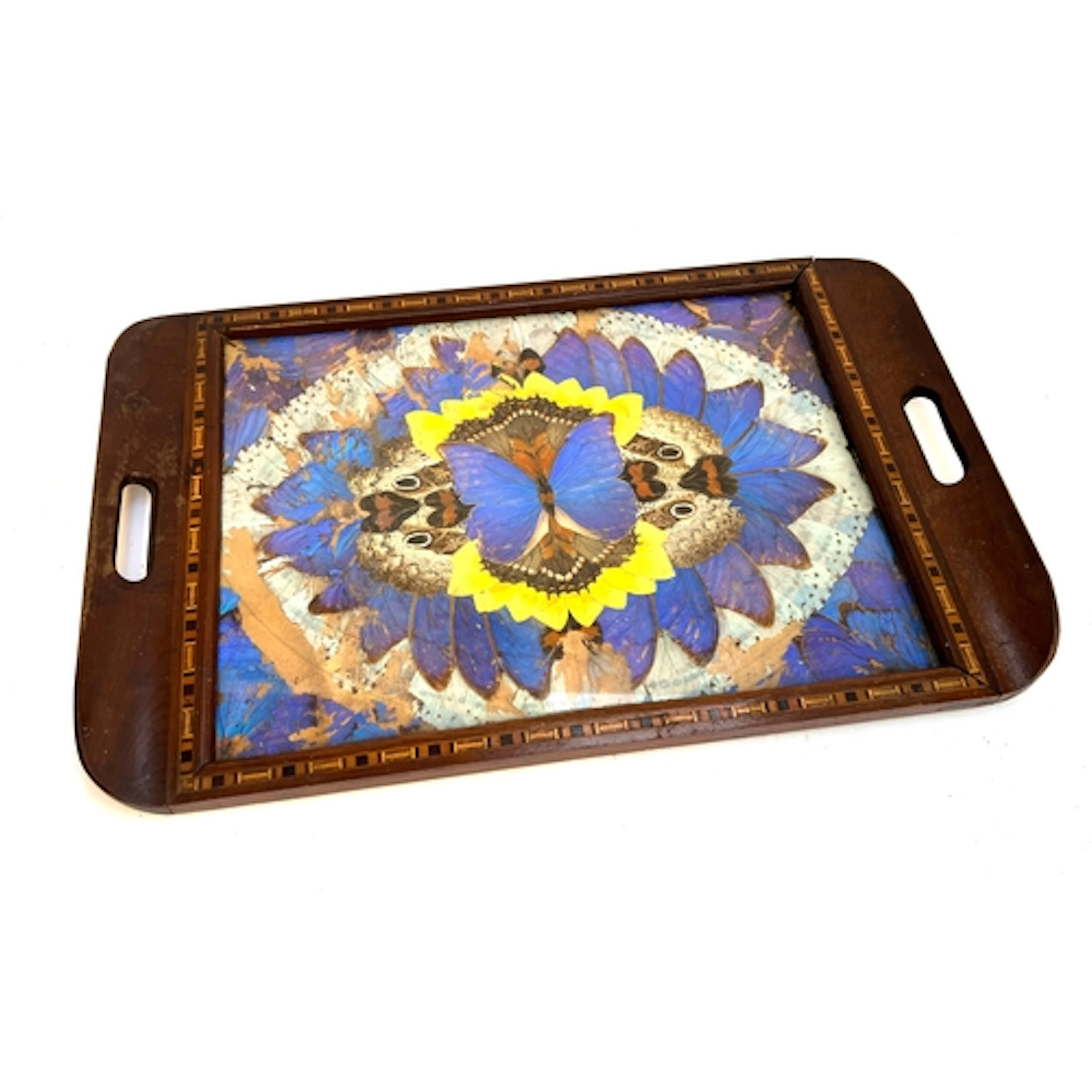 An Art Deco marquetry inlaid and glazed butterfly wing tray,...