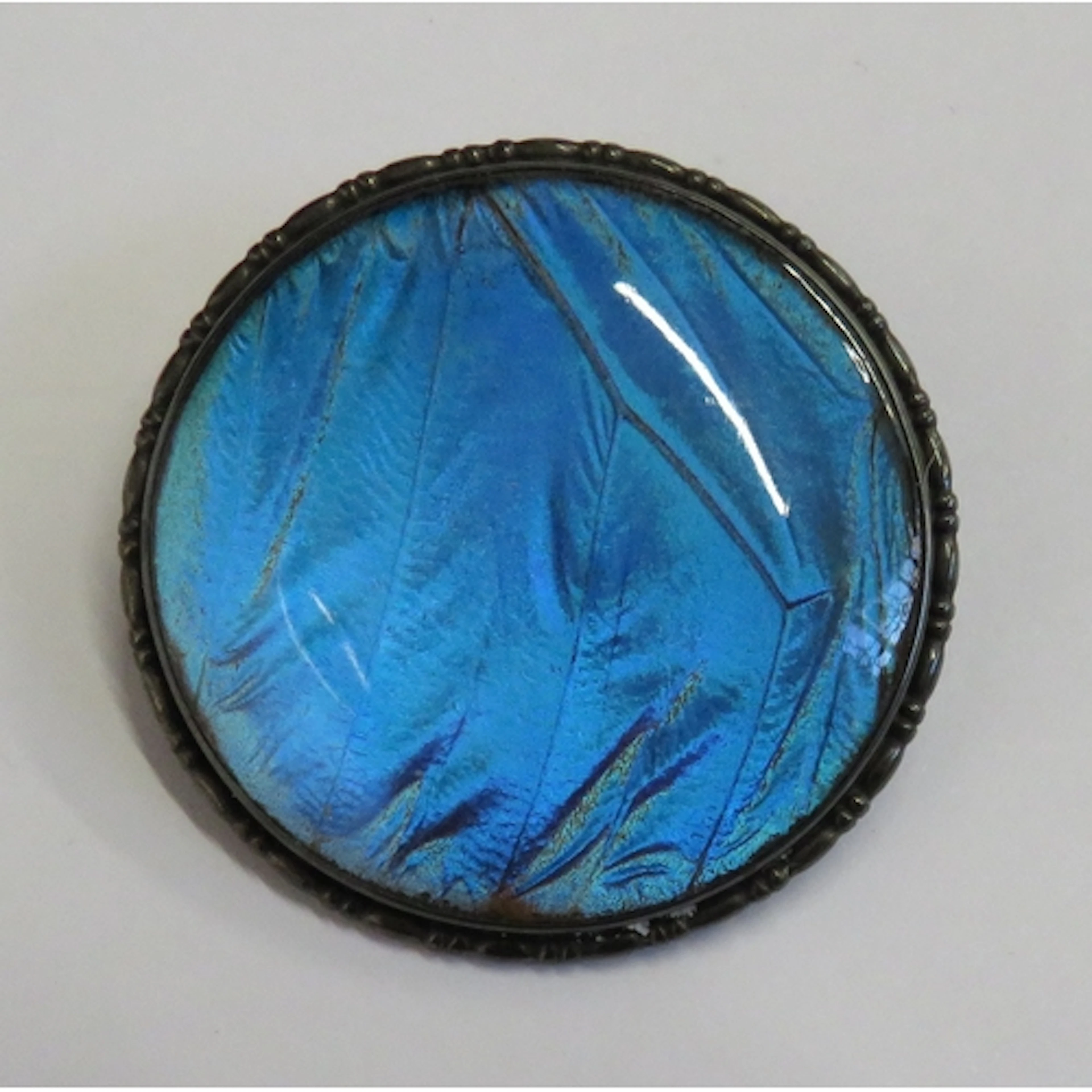 Silver Set Butterfly Wing Circular Brooch approx. 4cm dia. ...