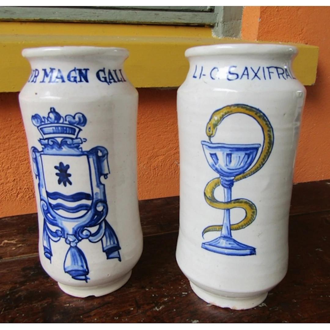 Pair of Old Majolica Chemist Jars Each Approximately 10 Inch...