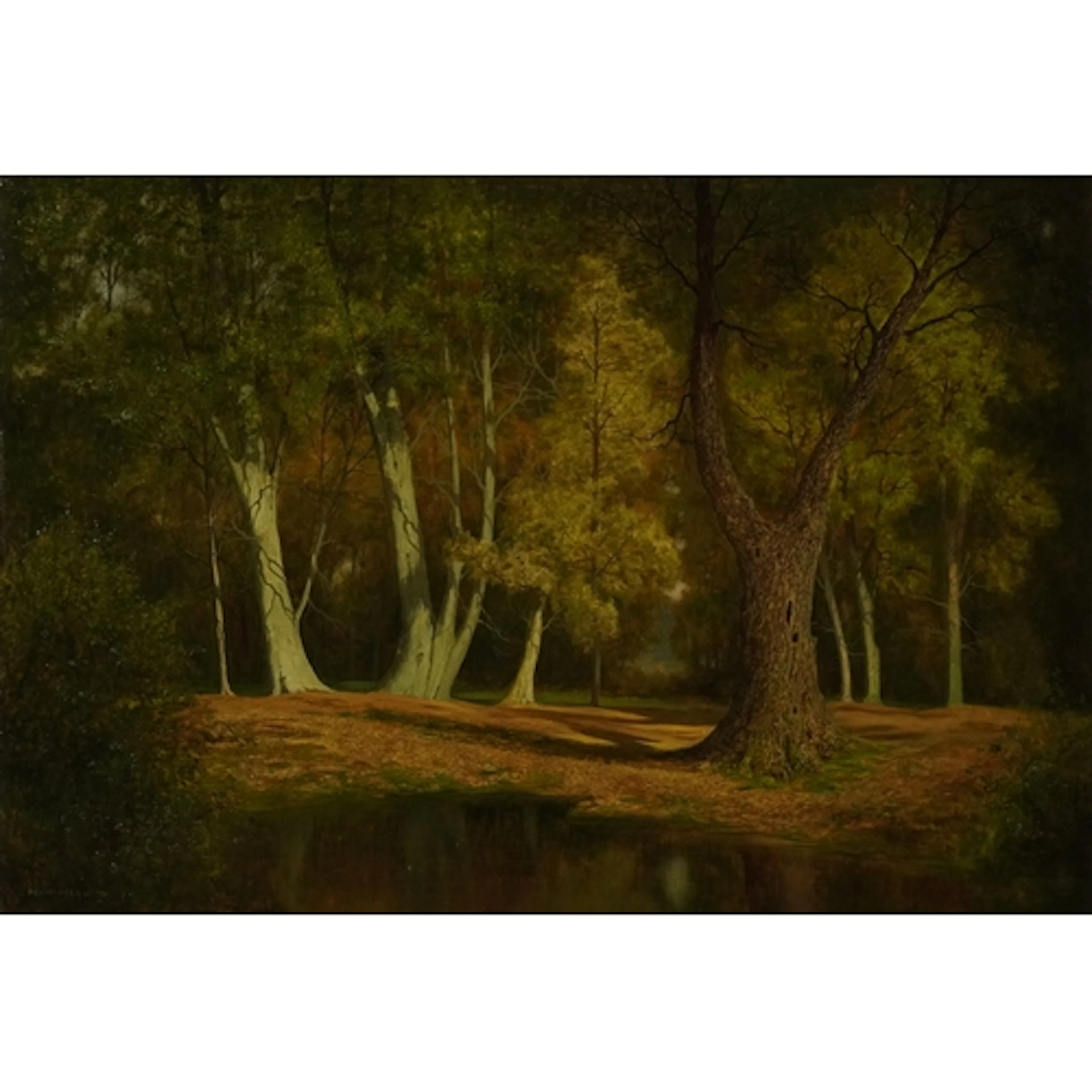 David Mead - The New Forest, 20th century British school oil...