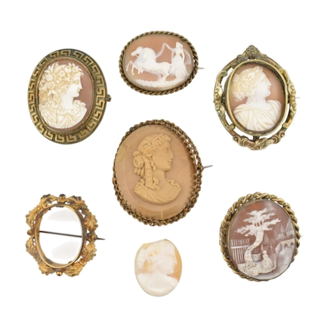 A collection of carved cameo brooch pins. Six brooch pins to...