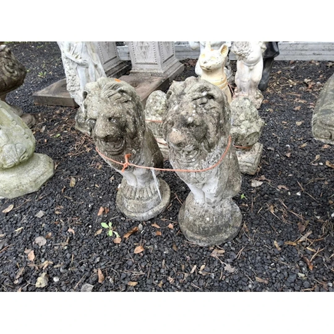 A PAIR OF CONCRETE GARDEN FIGURES in the form of seated lion...