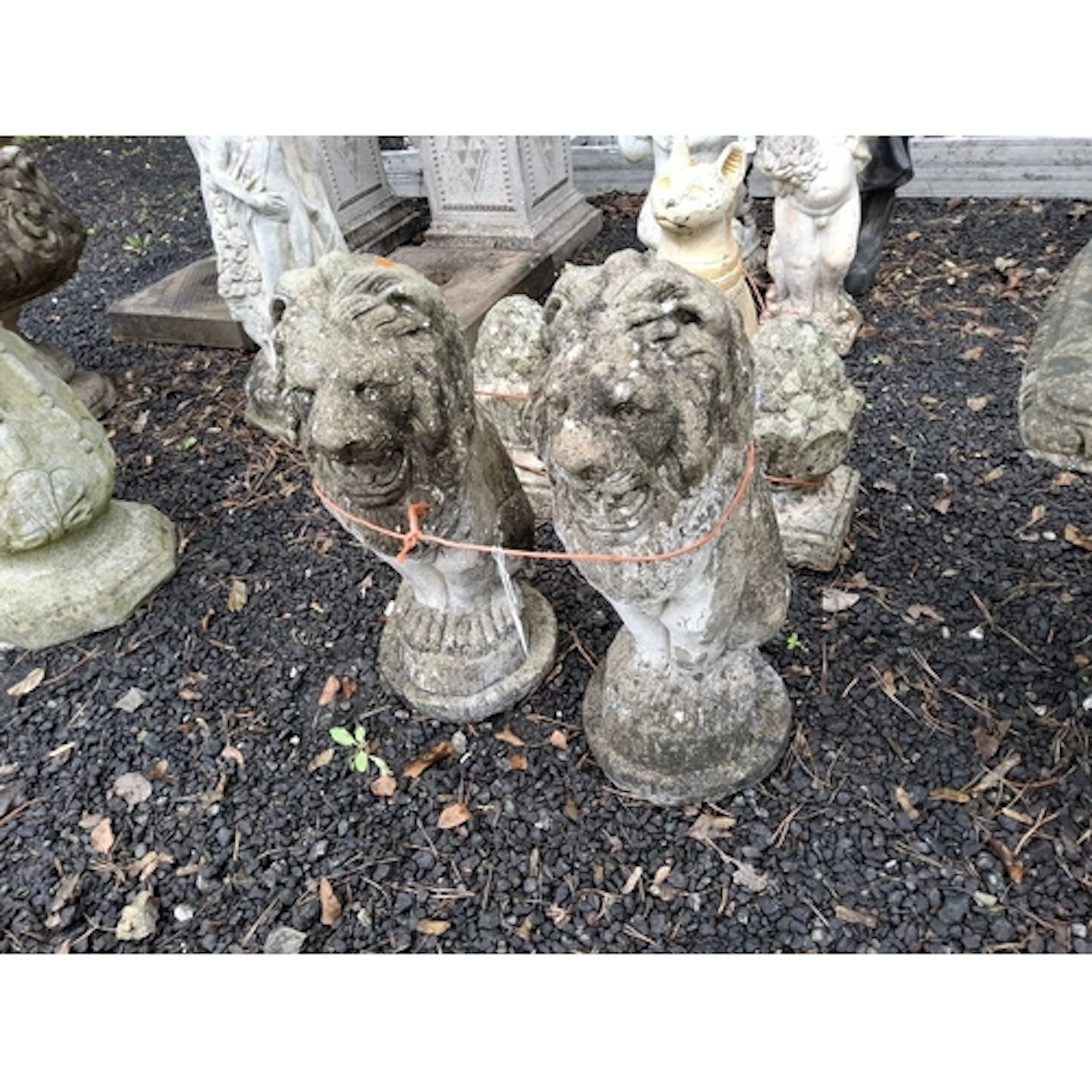 A PAIR OF CONCRETE GARDEN FIGURES in the form of seated lion...