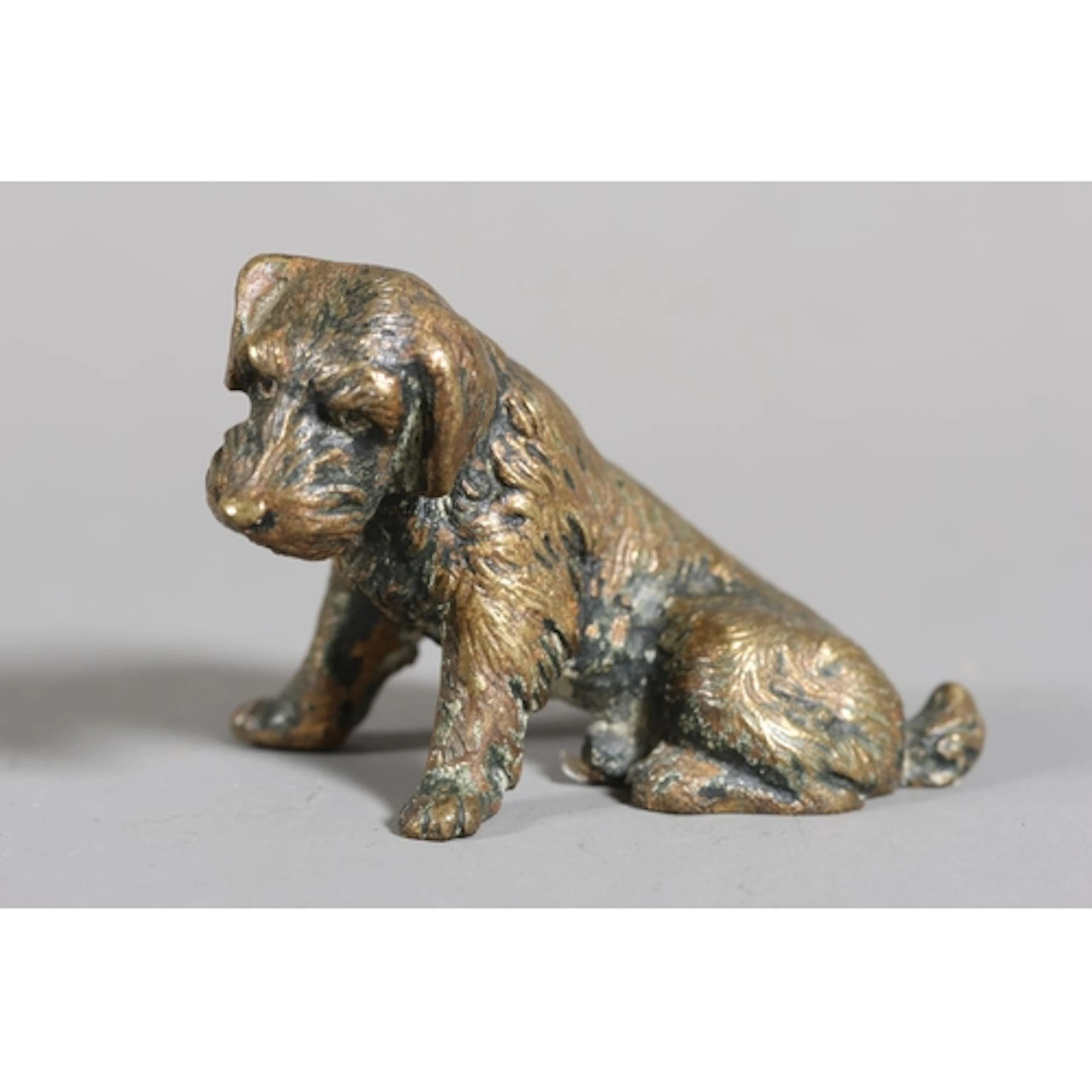 Cold painted bronze of a dejected dog.