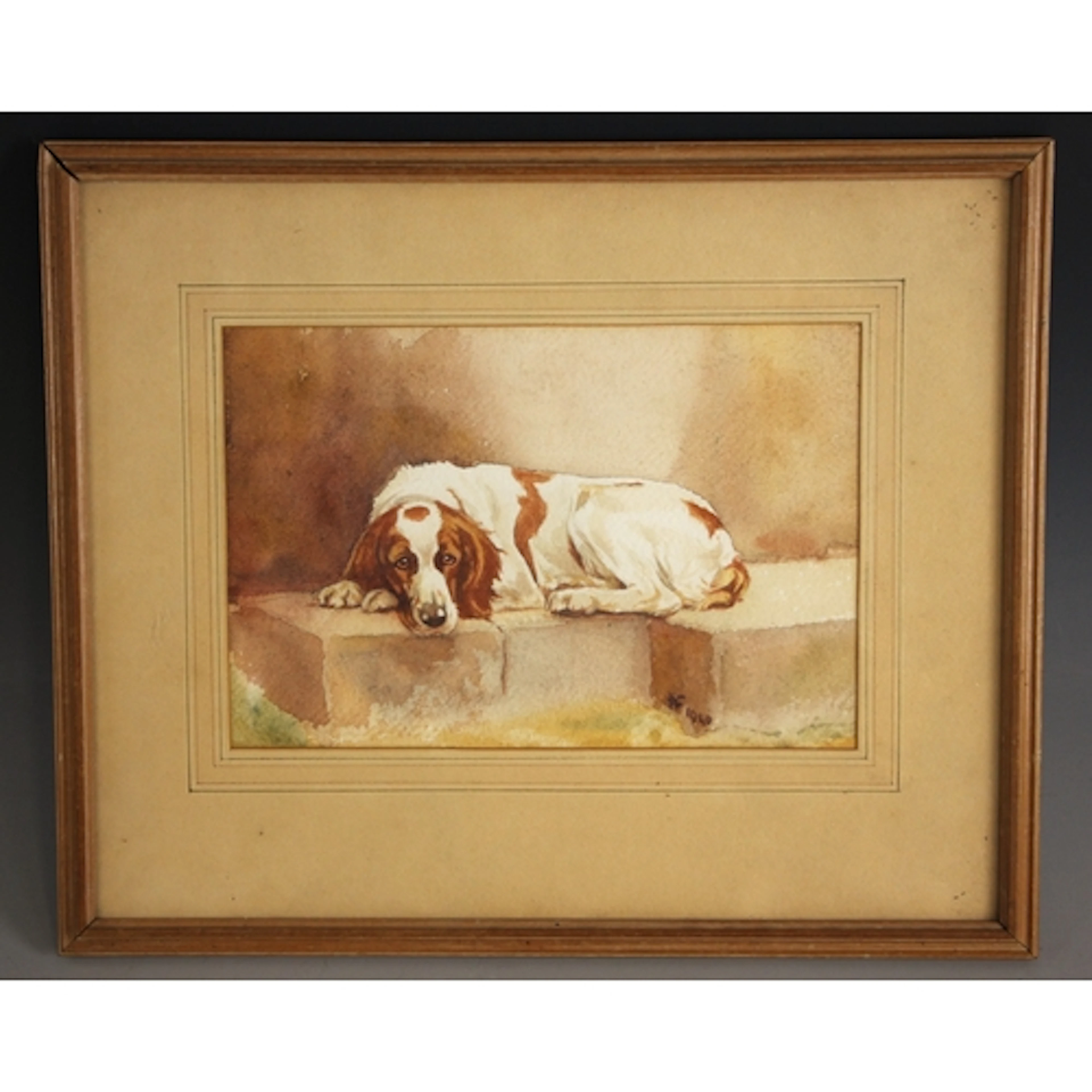 English school (20th century), 'Gwyn' A Welsh Springer' sp...