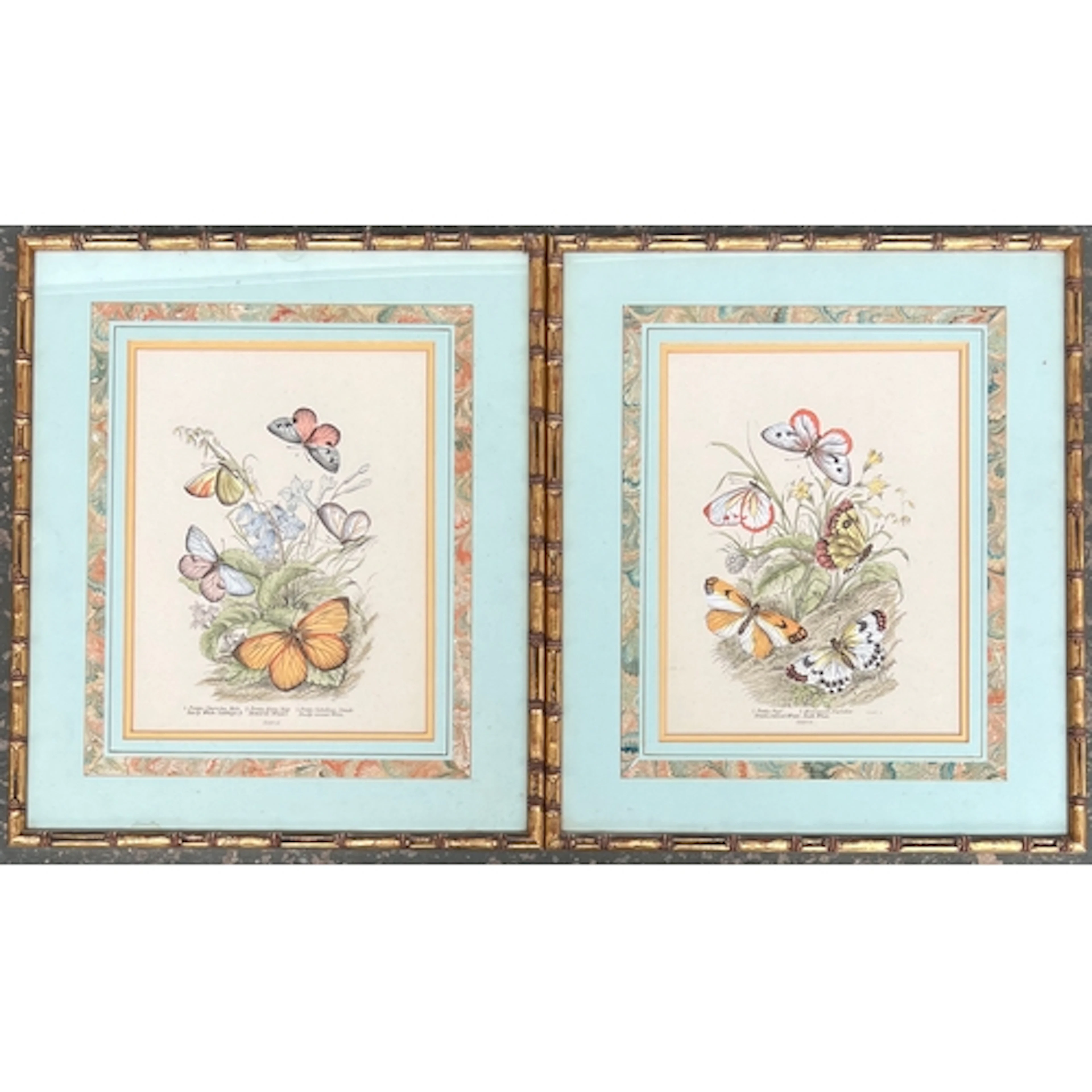 A pair of hand coloured lepidoptery prints, well framed in i...