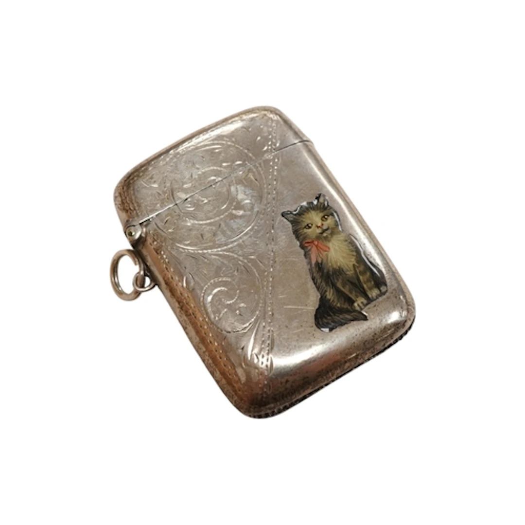 A George V novelty engraved silver vesta case, enamelled wit...