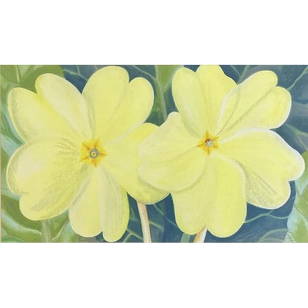 Danka Napiorkowska (b.1946) Two Primroses Pastel painting Si...