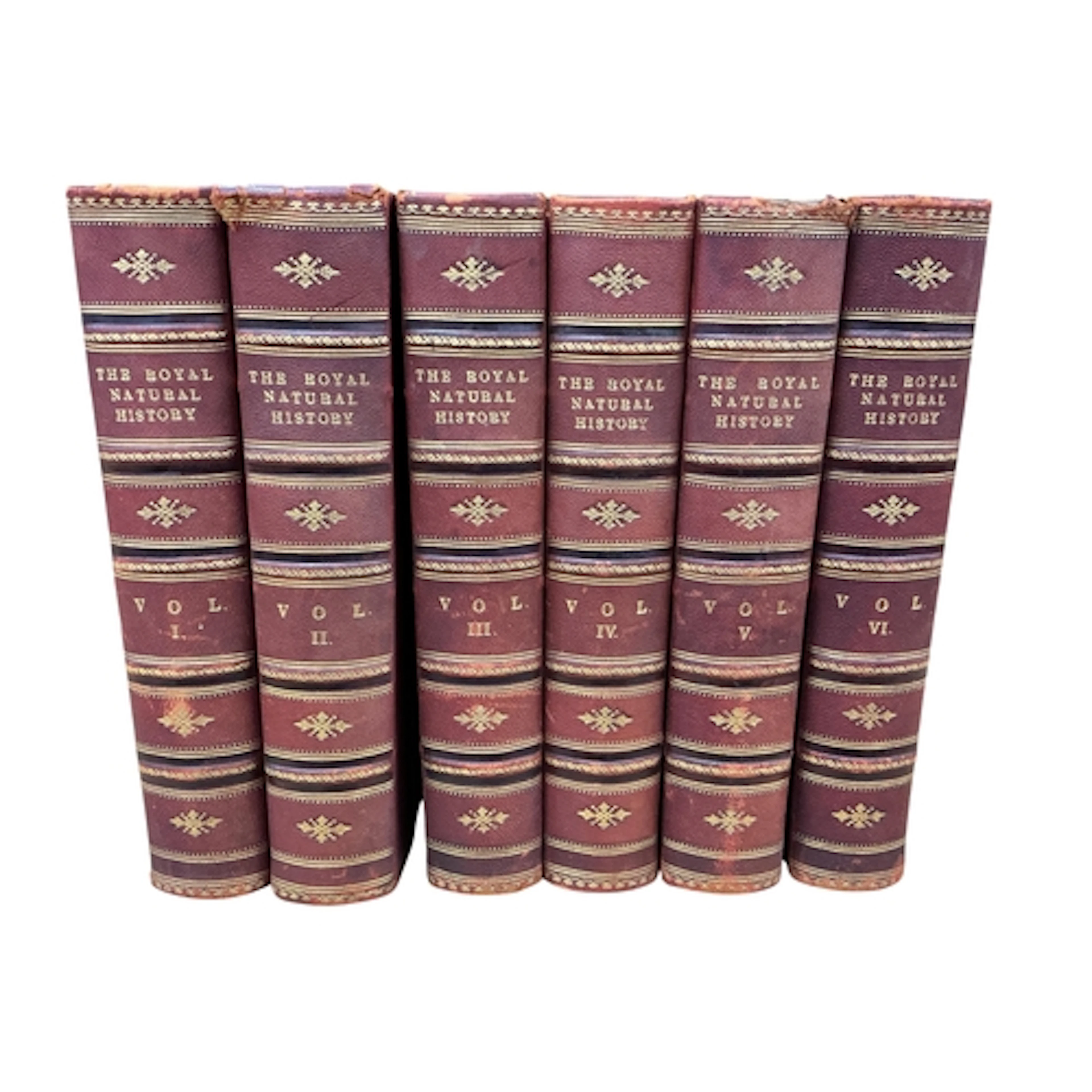 ° ° Lydekker, Richard (ed.). The Royal Natural History. Firs...