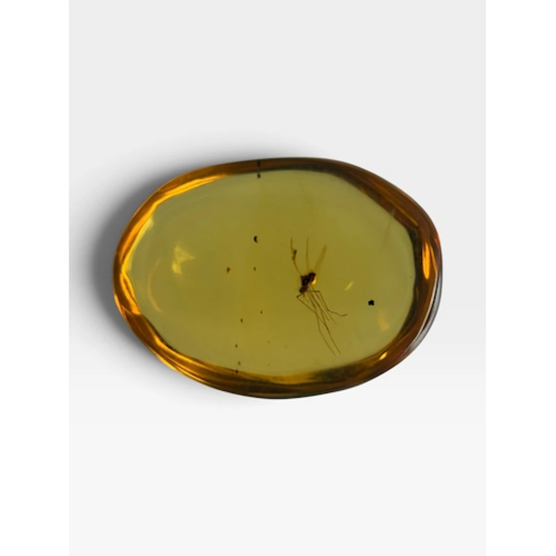 A MOSQUITO INSECT FOSSIL IN AMBER A highly detailed mosquito...