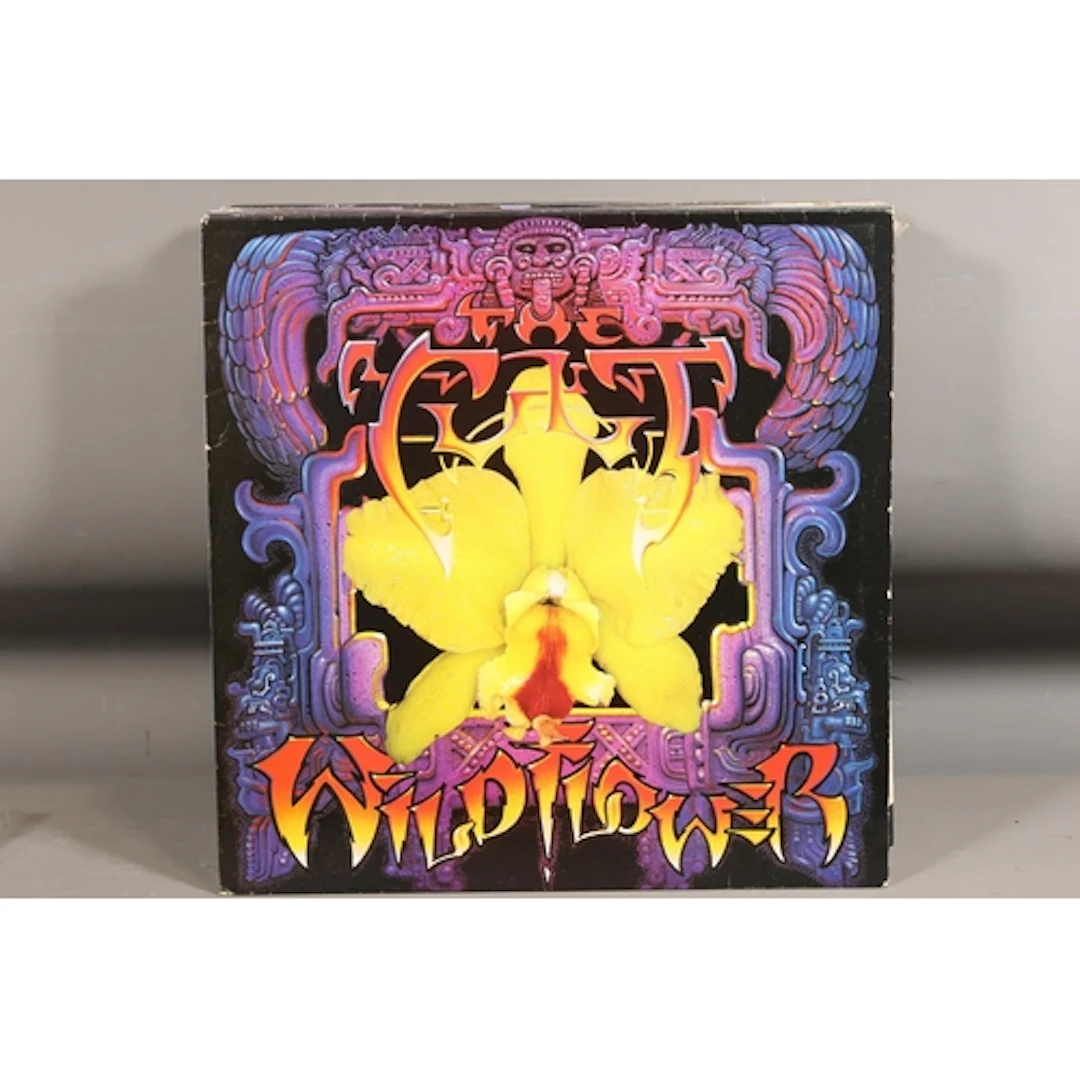 Mixed vinyl records and 12'' singles to include The Cult, Si...