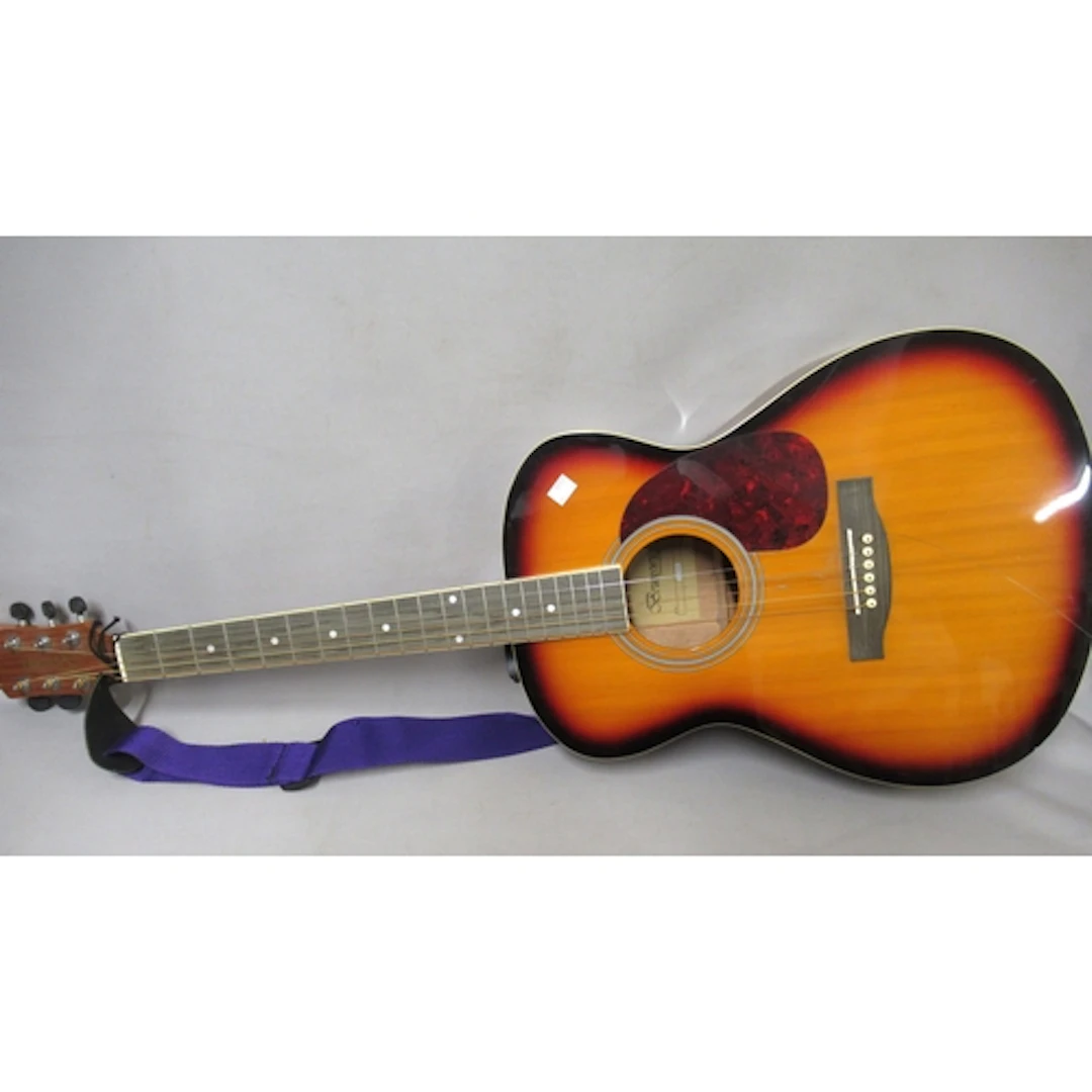 Brunswick acoustic guitar