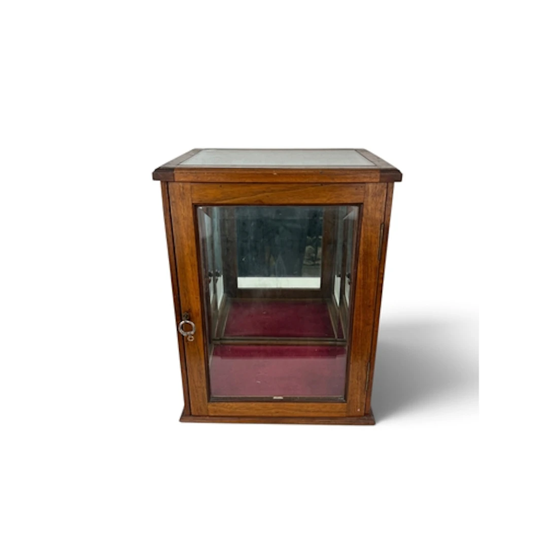 A MAHOGANY AND GLASS VITRINE DISPLAY BOX The door with bevel...