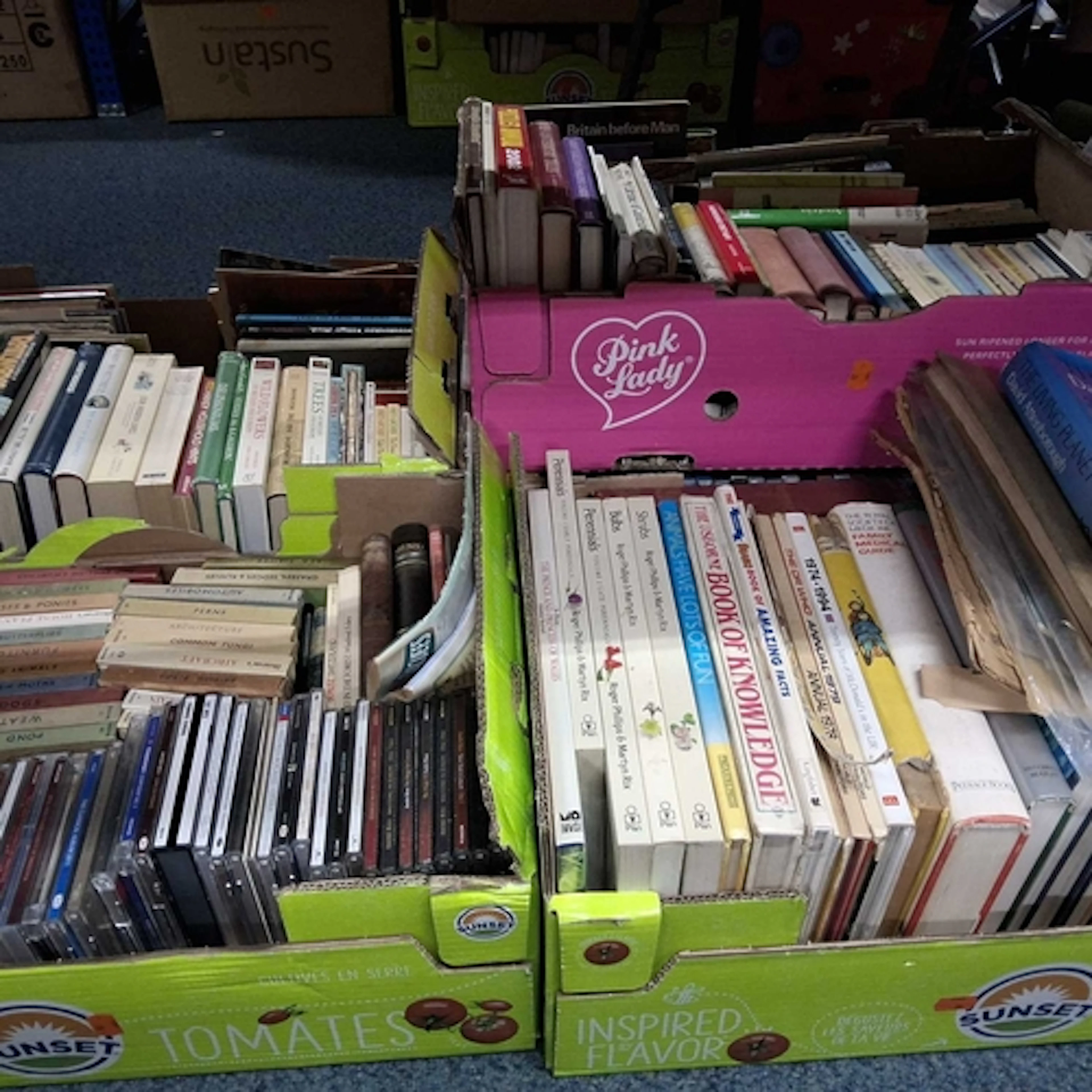 FIVE BOXES BOOKS, CDS & DVDS, the book titles in hardbac...