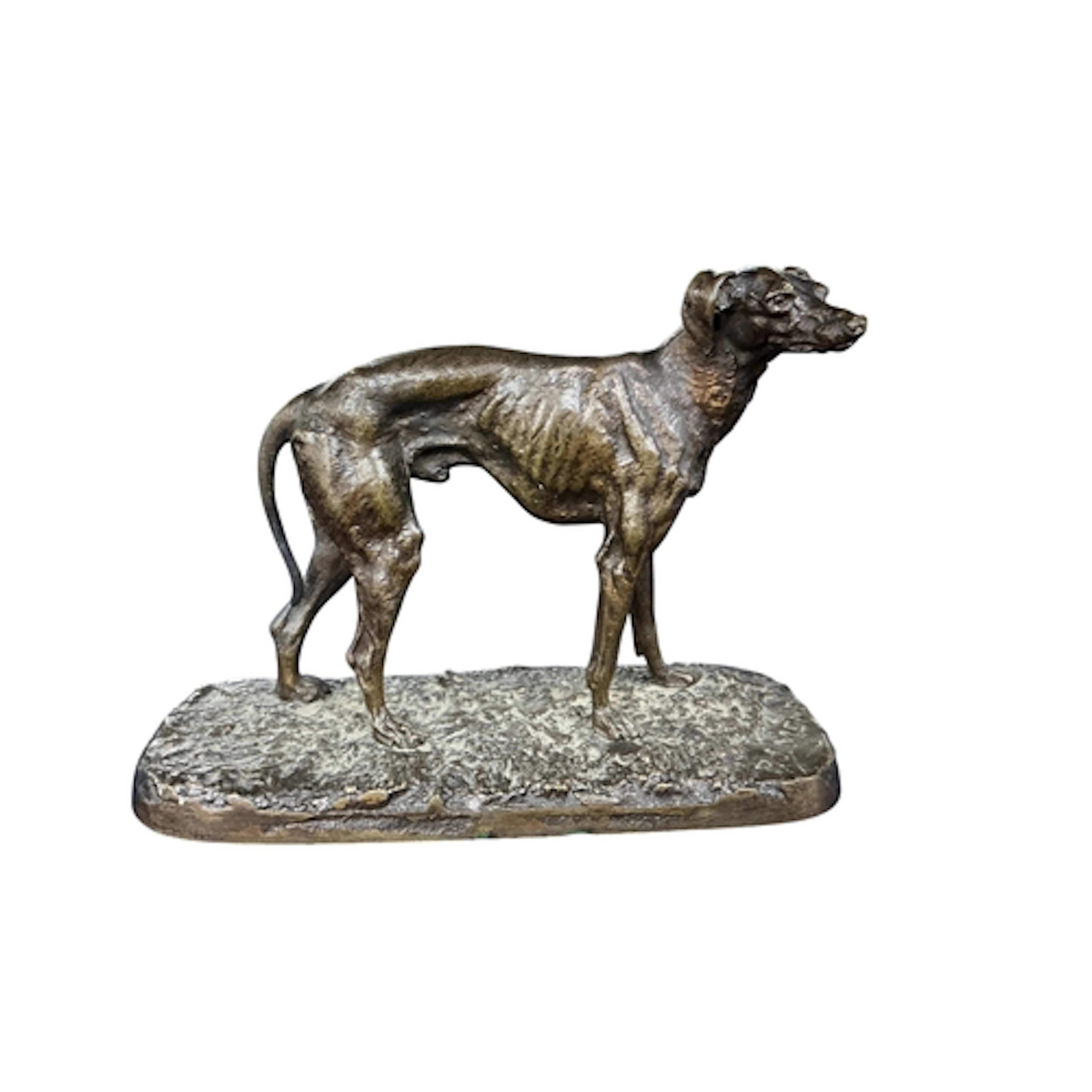 After Mene, a small bronze of a standing greyhound, height 1...