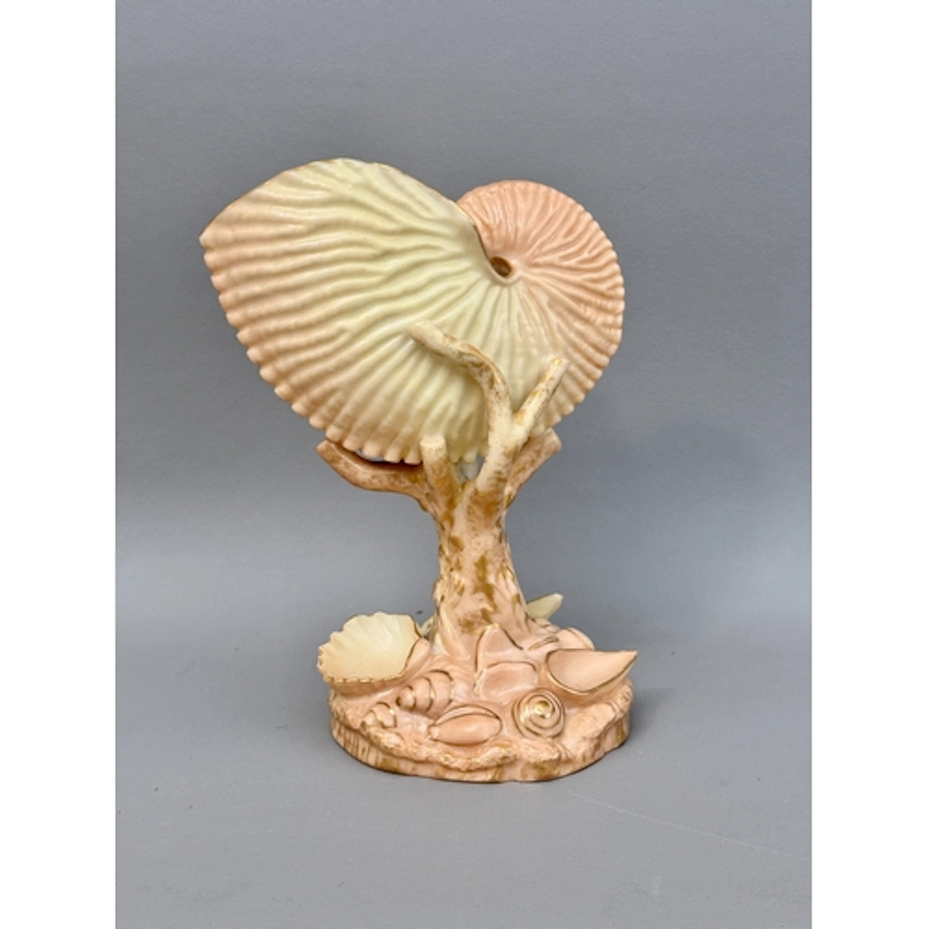 An early 20th century Royal Worcester porcelain Nautilus she...
