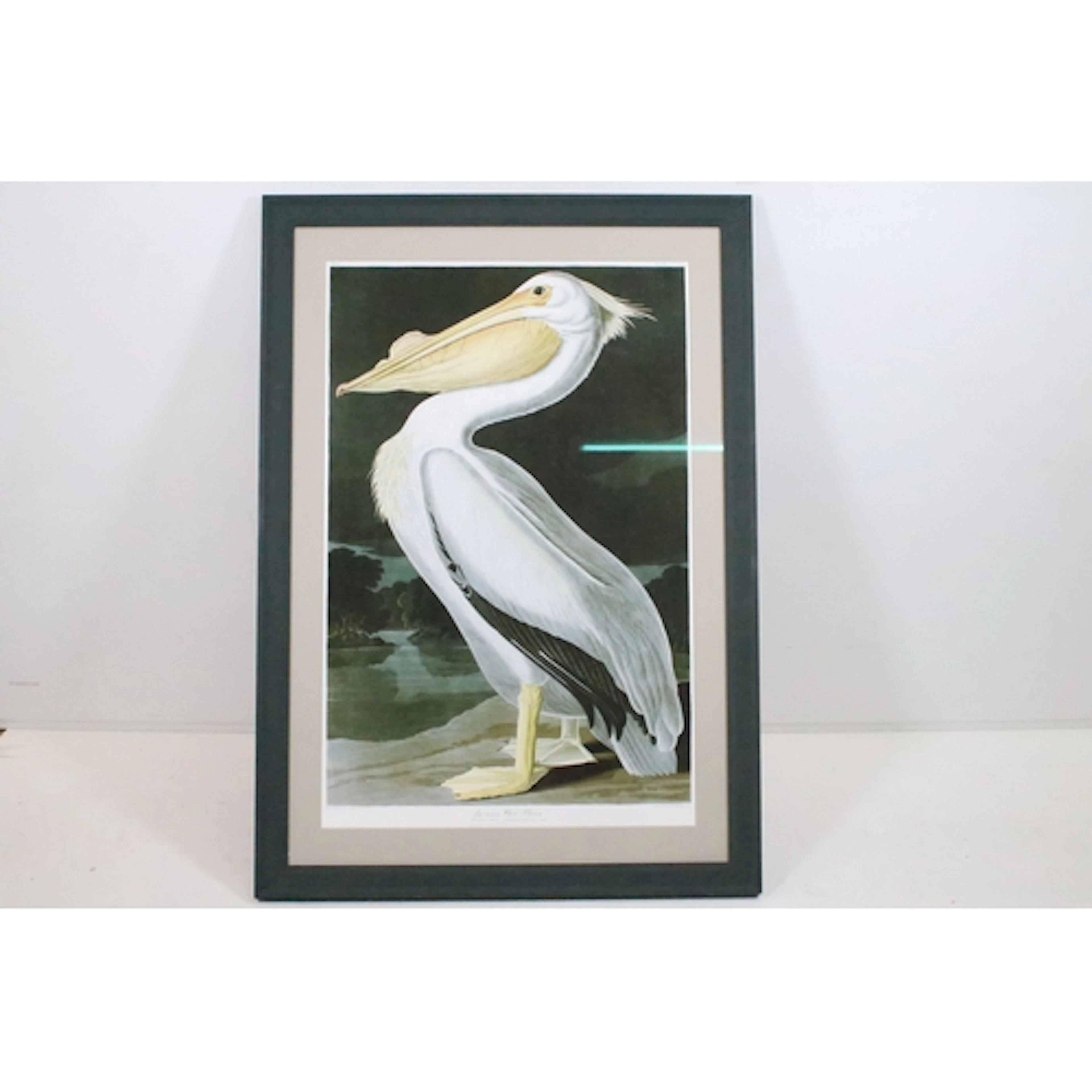 After John James Audubon (French/American, 1785 - 1851), 'Am...