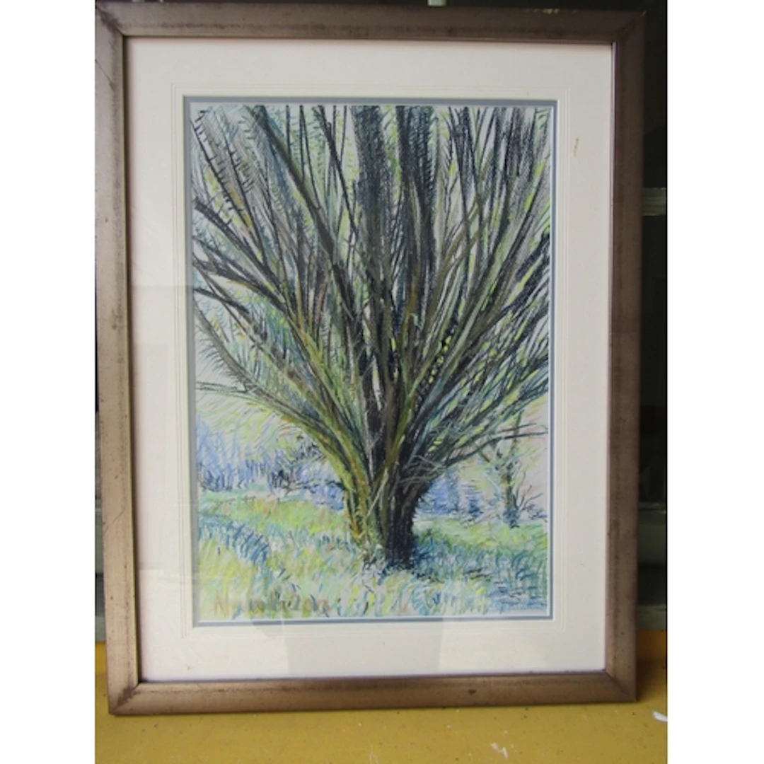 Irish Yew American Garden Headfort 2013 Pastel Approximately...