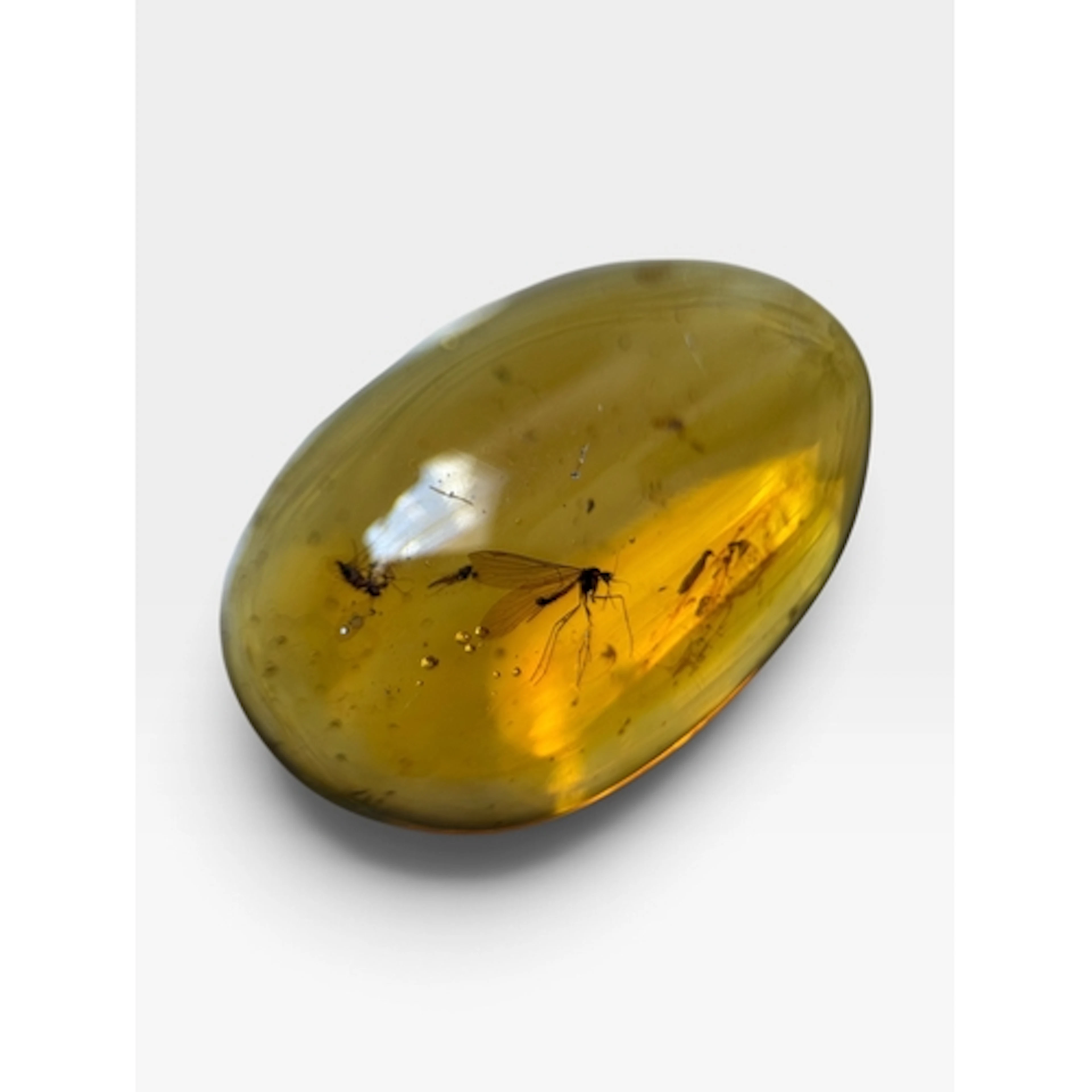 A MOSQUITO INSECT FOSSIL IN AMBER A highly detailed mosquito...