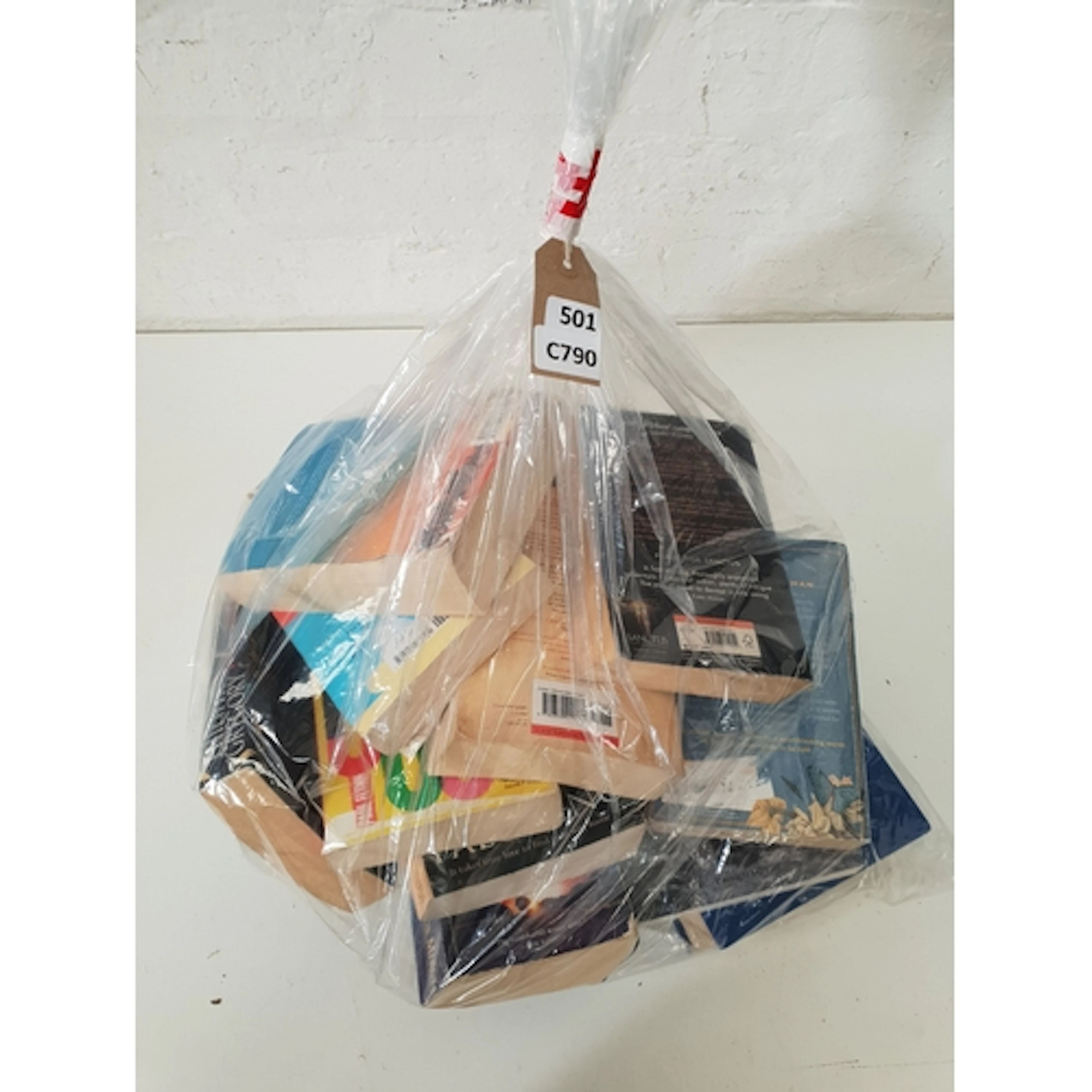 ONE BAG OF BOOKS
