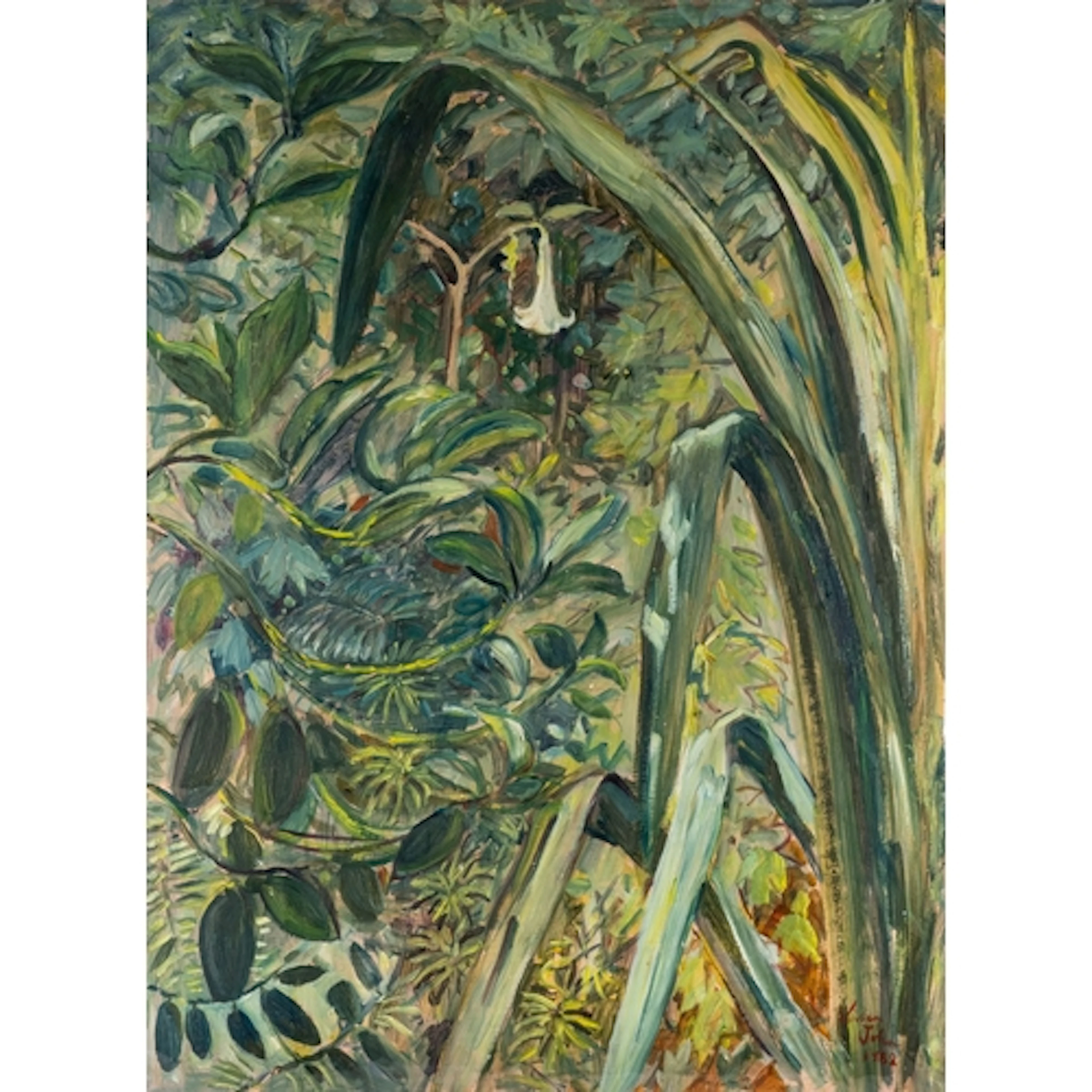 Vivien John (British, 1914-1994) - Angel's trumpet flower i...