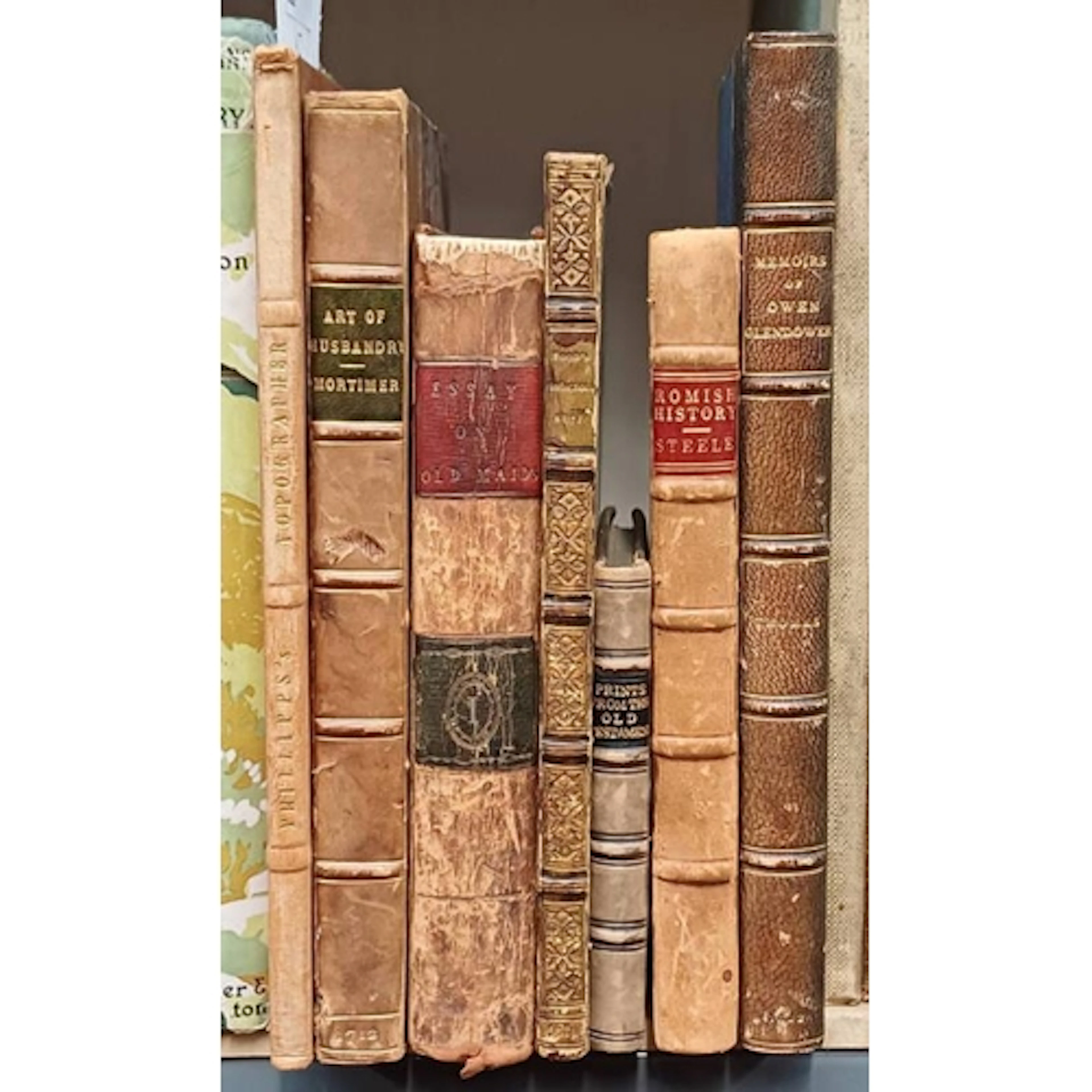 BINDINGS: THE TOPOGRAPHER, ORIGINALLY EDITED BY REVD. S. SHA...
