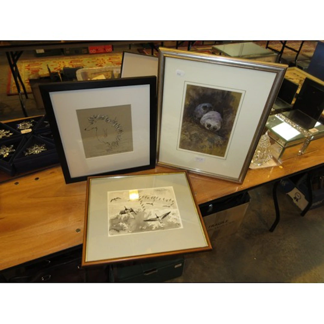 Watercolour of 2 Owl Chicks, Keith Brockie Picture of Geese ...