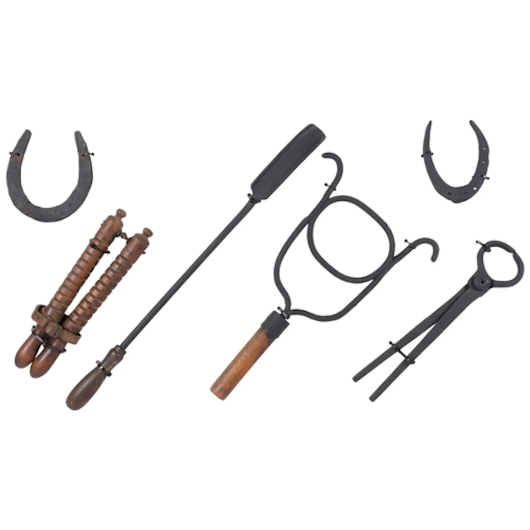 A mounted display of 18th century horse dentistry tools, and...