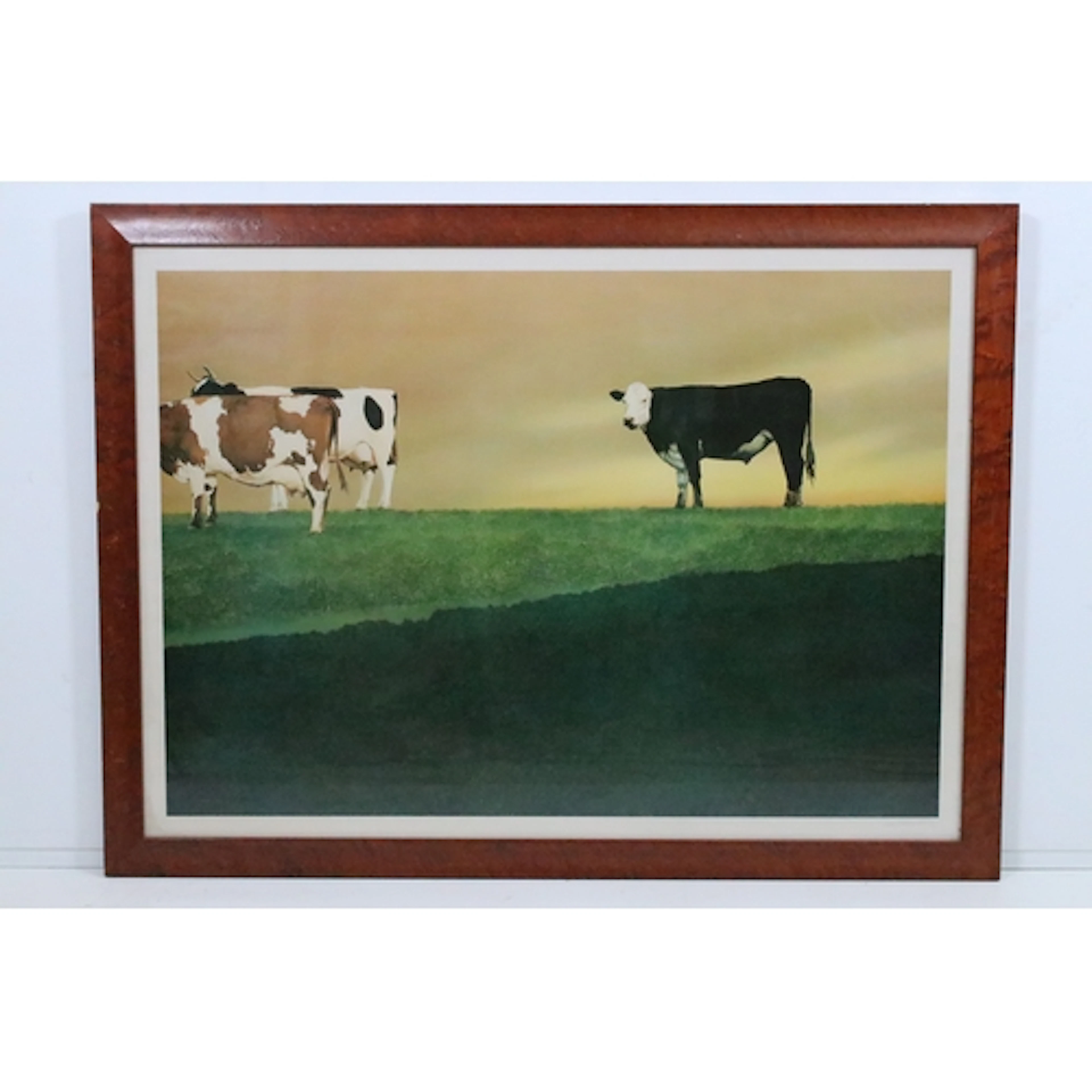 20th century study of cows in a field, colour print, indisti...