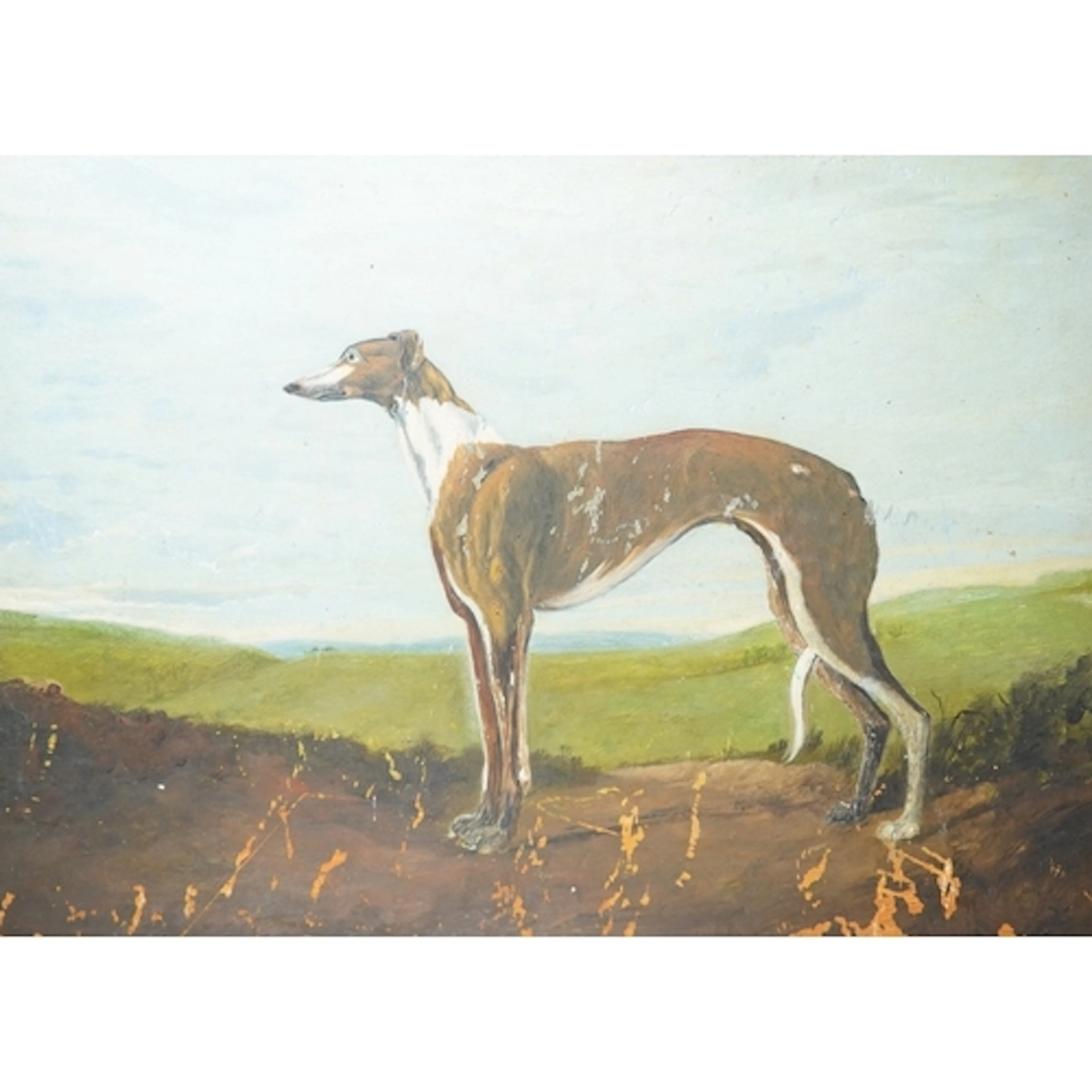 20th century, Study of a greyhound in a landscape, unsigned,...