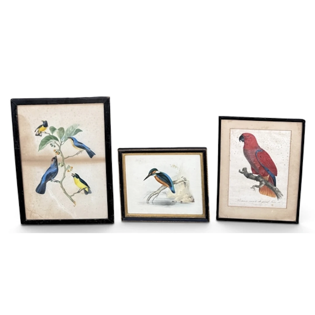 A HAND COLOURED ENGRAVING OF A KINGFISHER WITH TWO OTHERS Li...