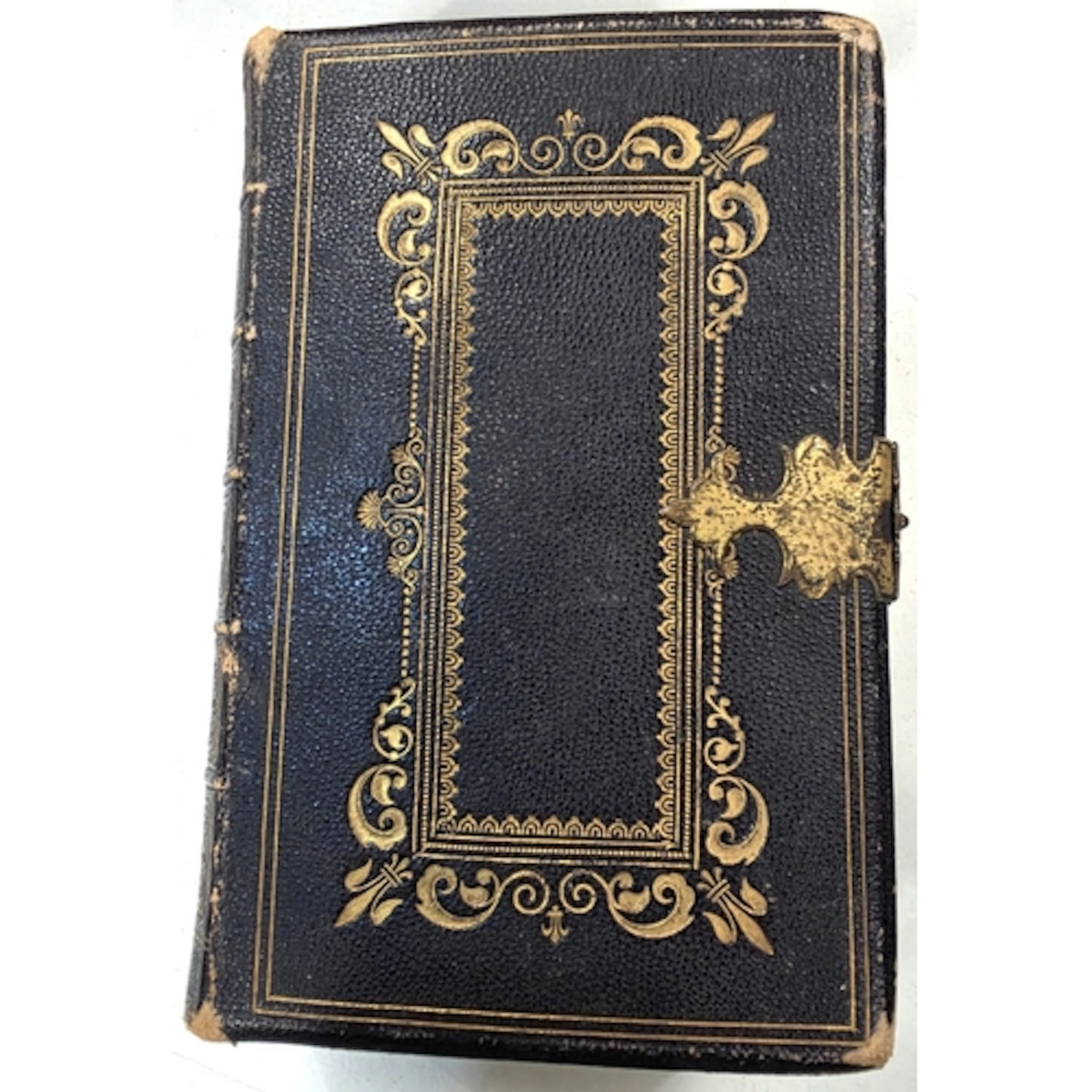 Polyglot Bible, English version Samuel Bagster, leather boun...