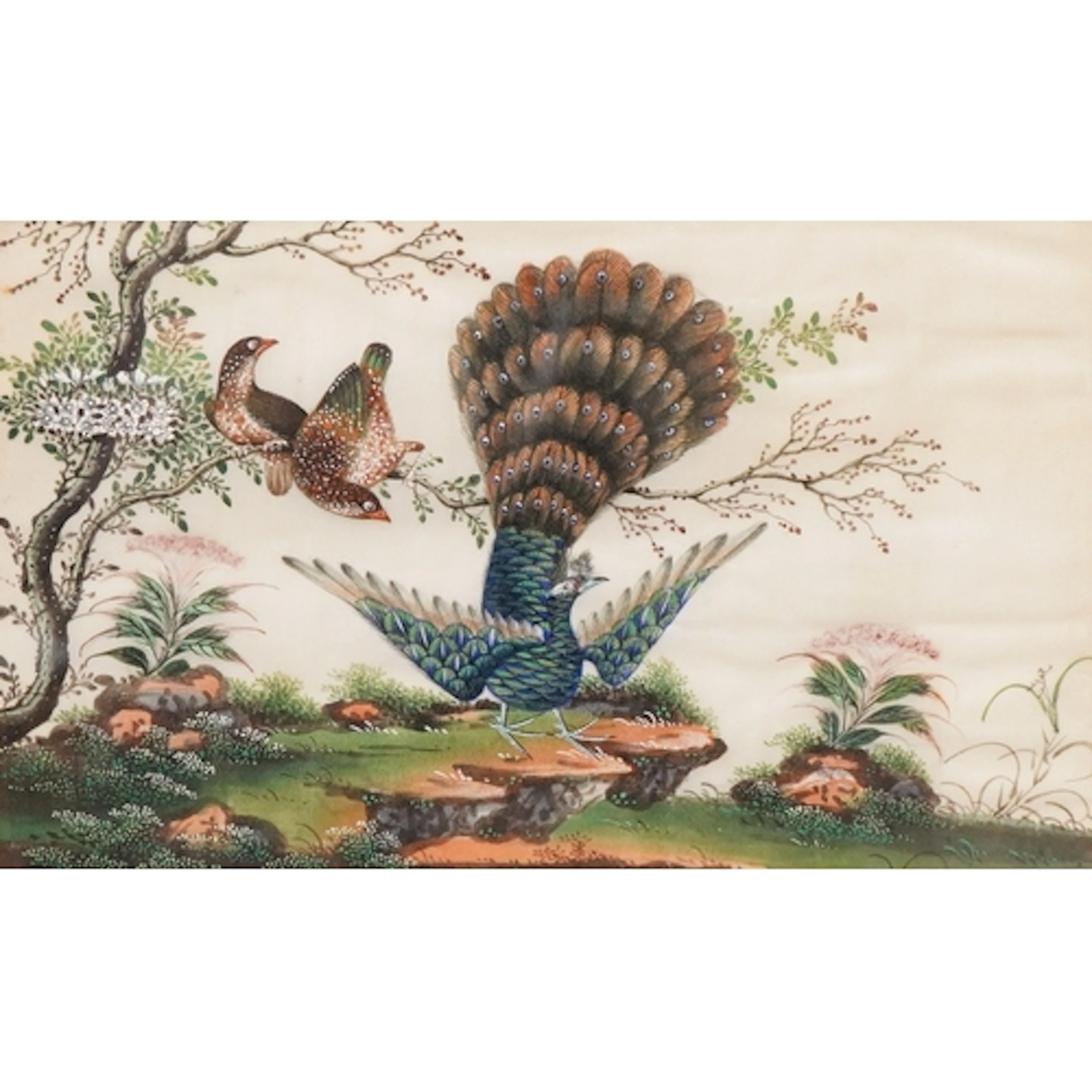 Chinese school, early 20th century, peacock and birds in a l...