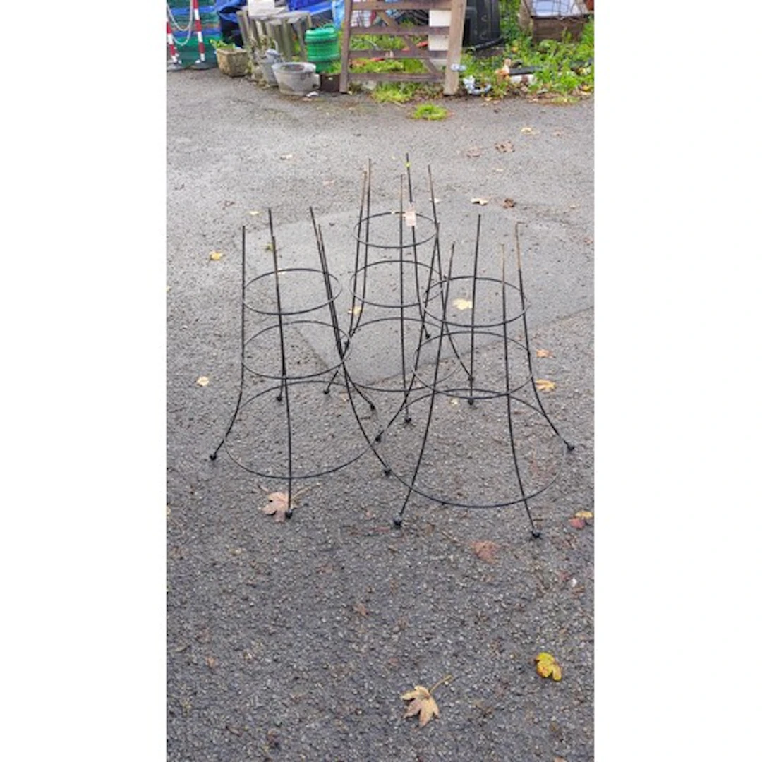 Three black-painted metal garden plant supports of open coni...